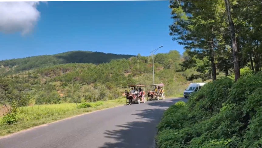 马车载客不允许在Tuyền Lâm湖旅游区运营