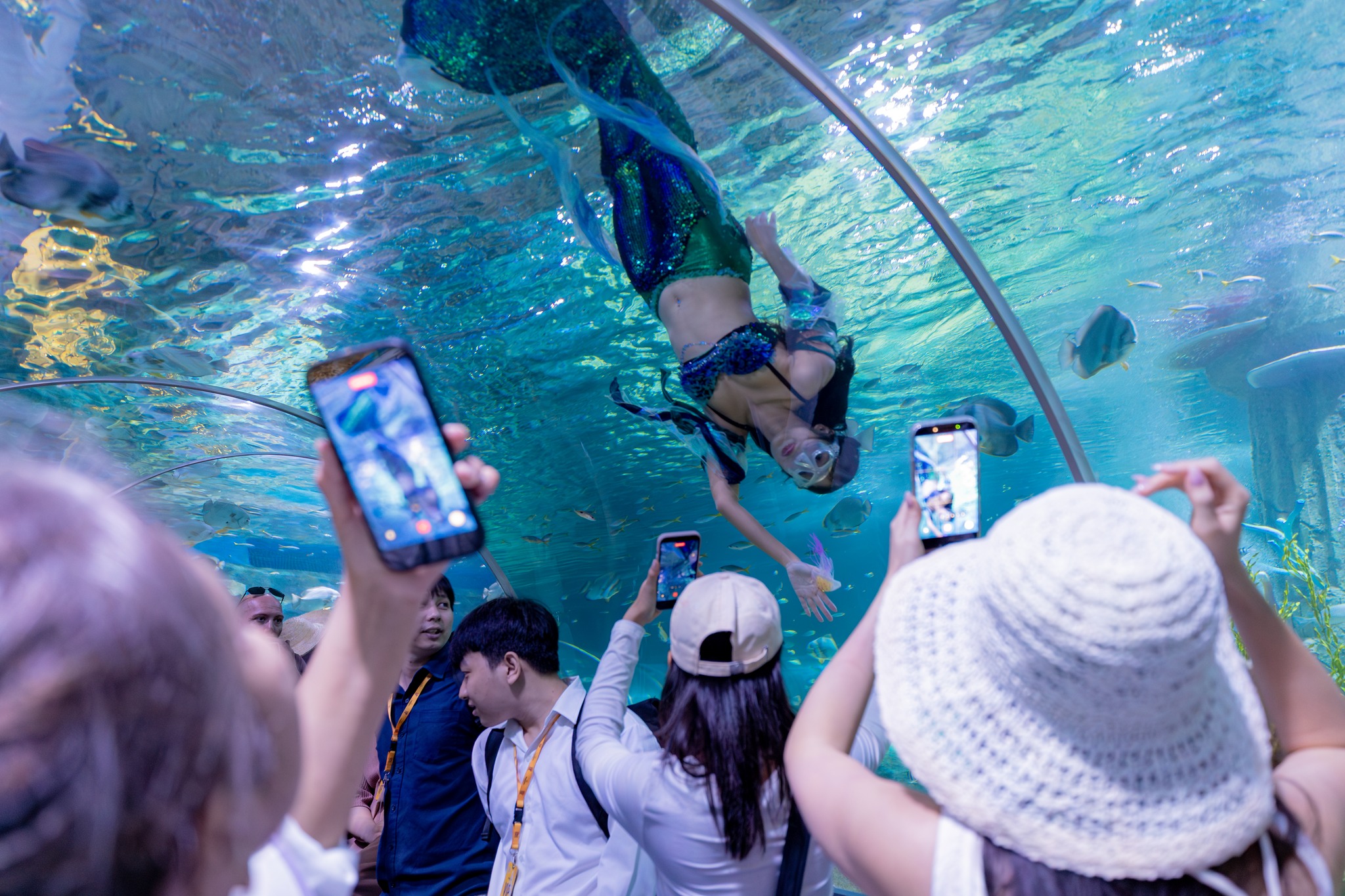 芽莊旅遊在假期期間因一系列活動和優惠而“火爆”