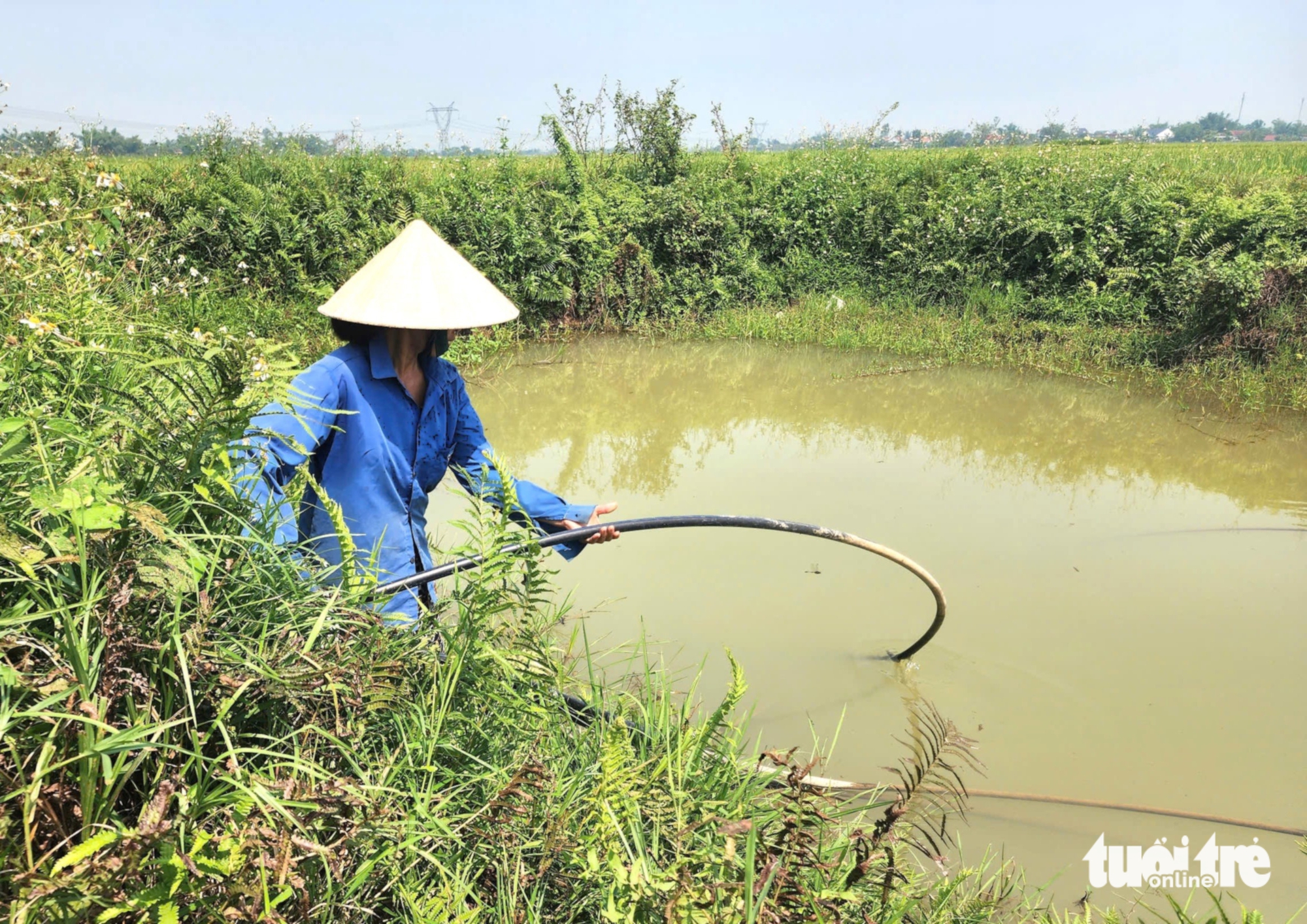 河靜省:在酷熱天氣中居民缺乏生活用水