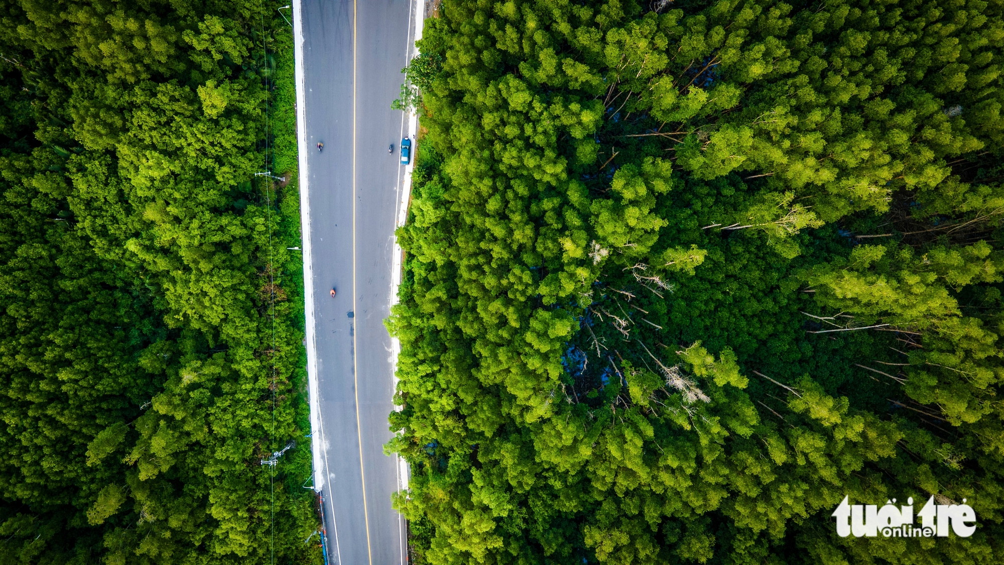 無人機航拍：預計將開通10車道的森林公路，連接胡志明市中心至芹蒢