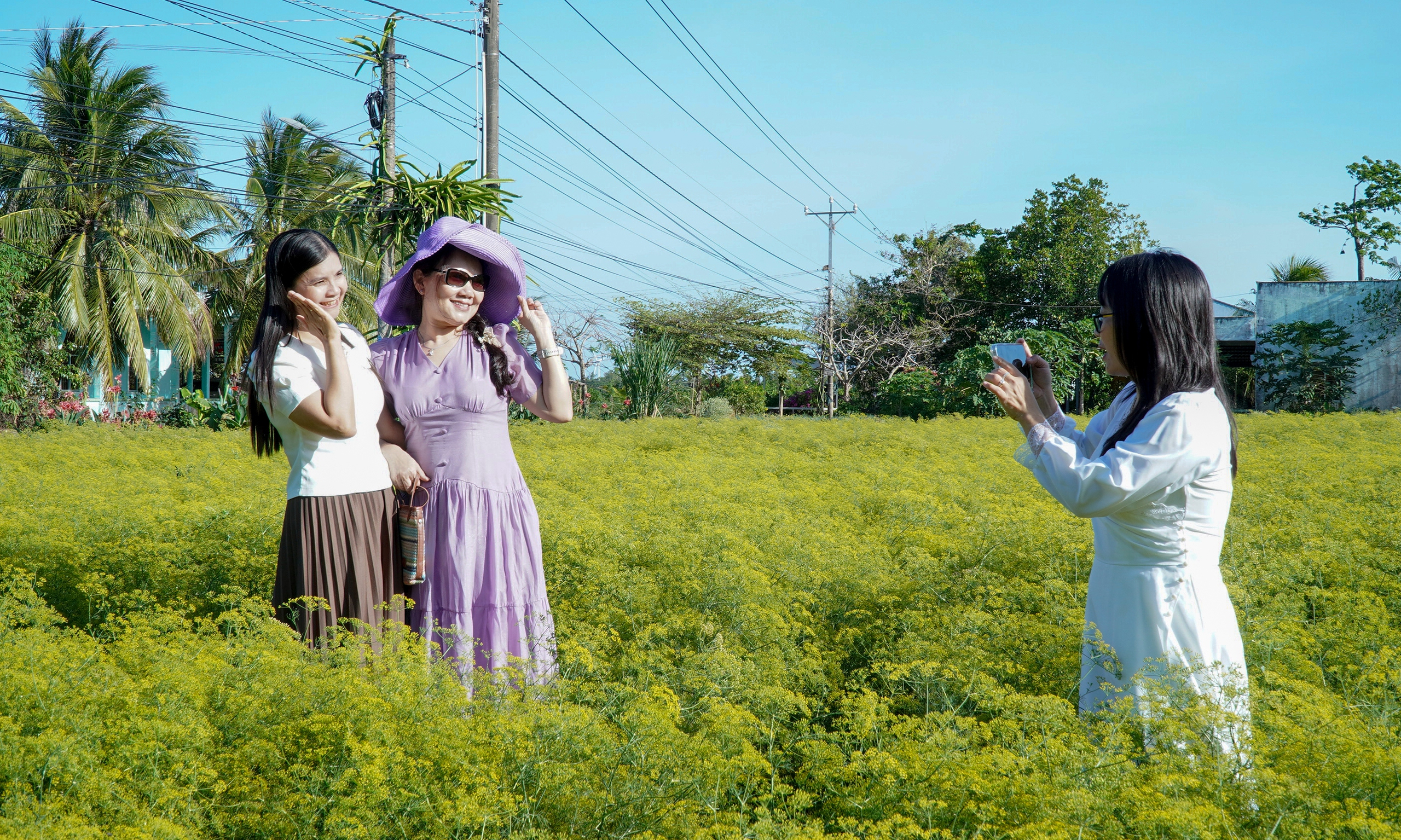 許多年輕人相約前往西部“稀有花園”打卡