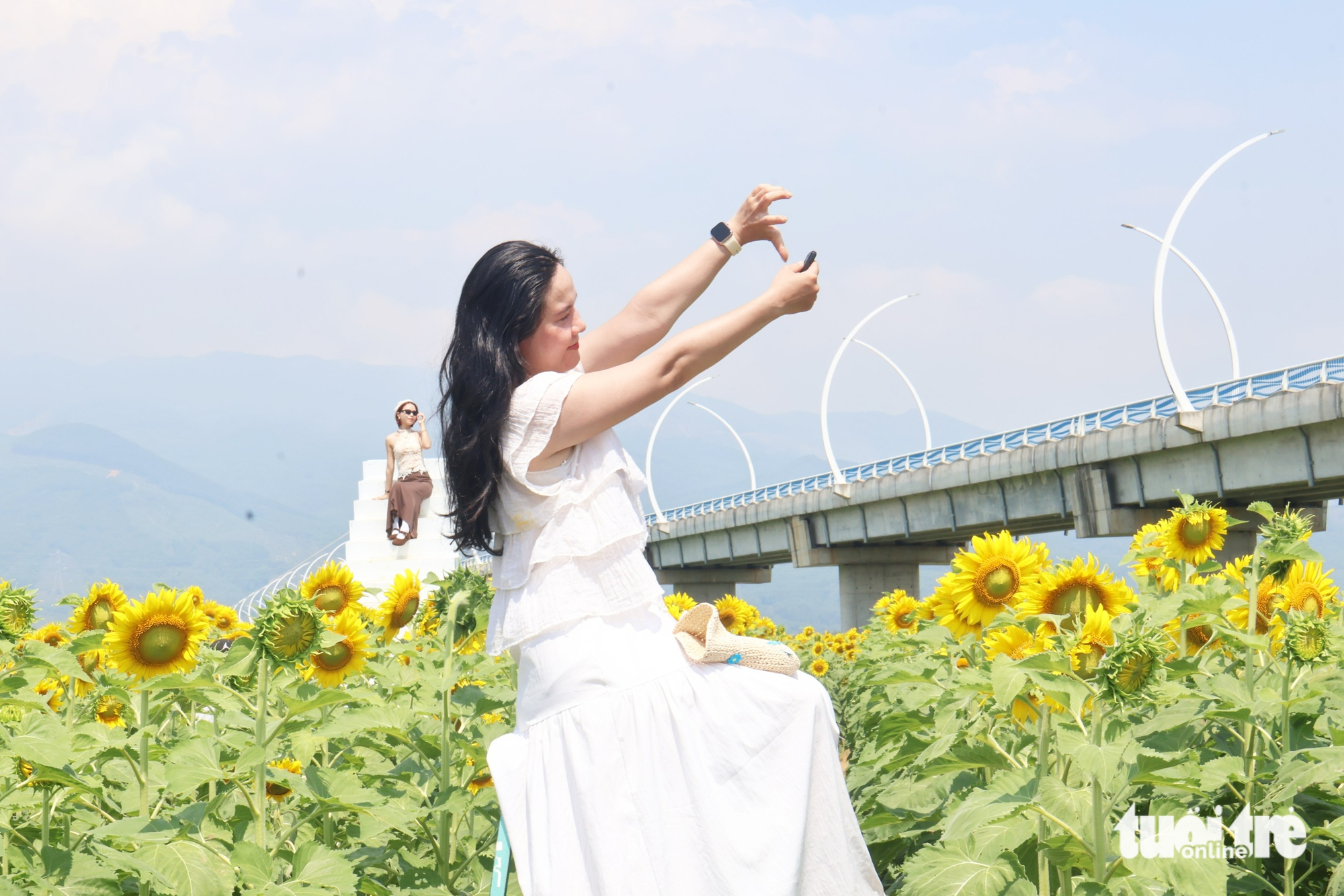 武嘉河畔向日葵花田金黃燦爛,遊客蜂擁打卡