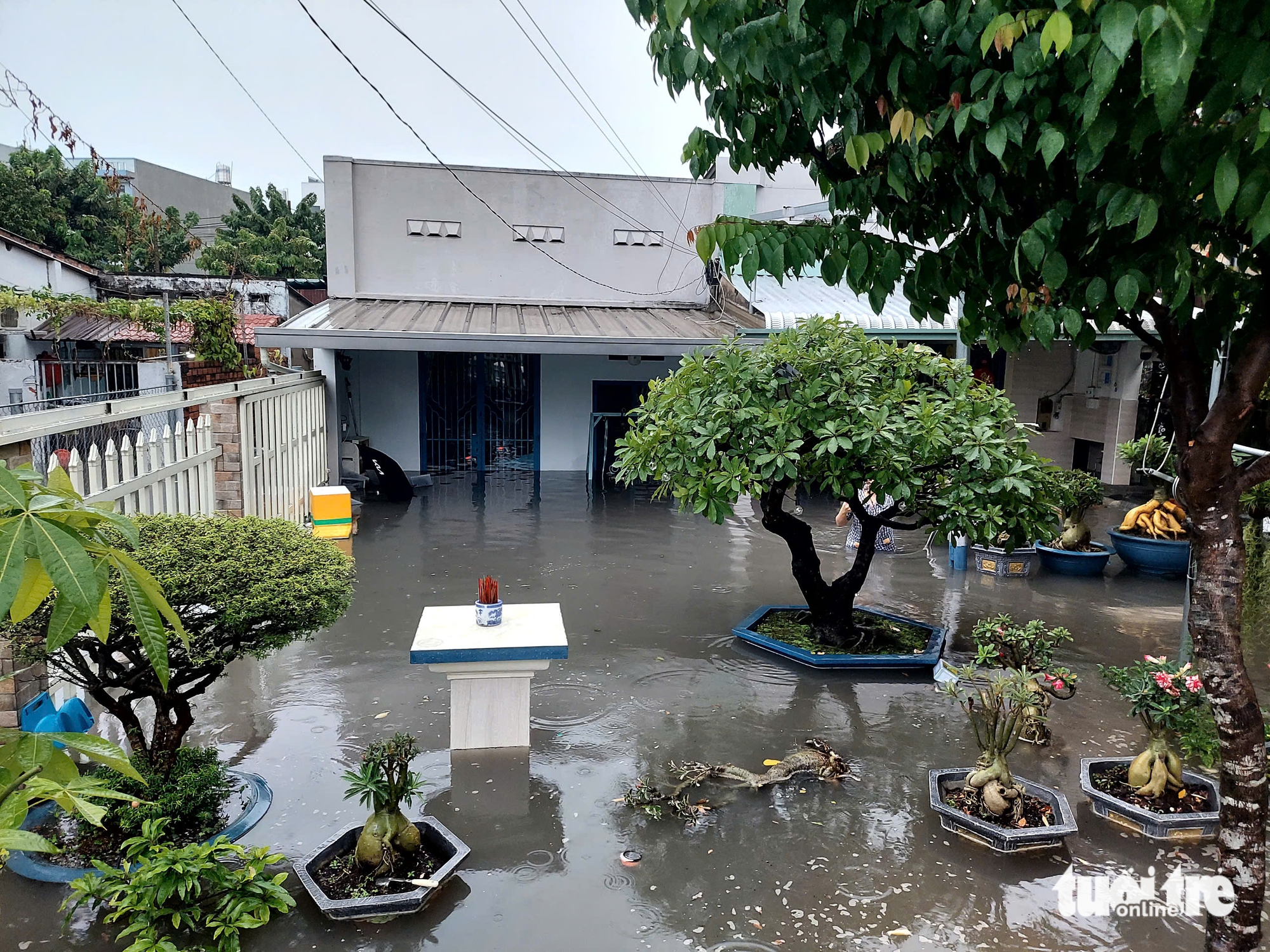 24个雨水淹没点在Thủ Đức市，居民需注意