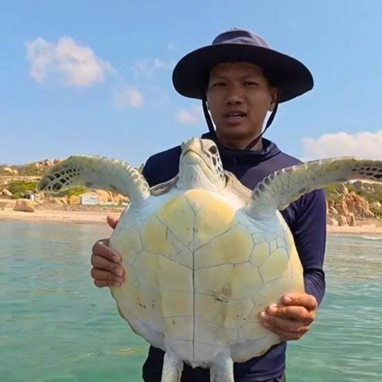 珍貴海龜被漁網纏住,漁民將其放歸大海