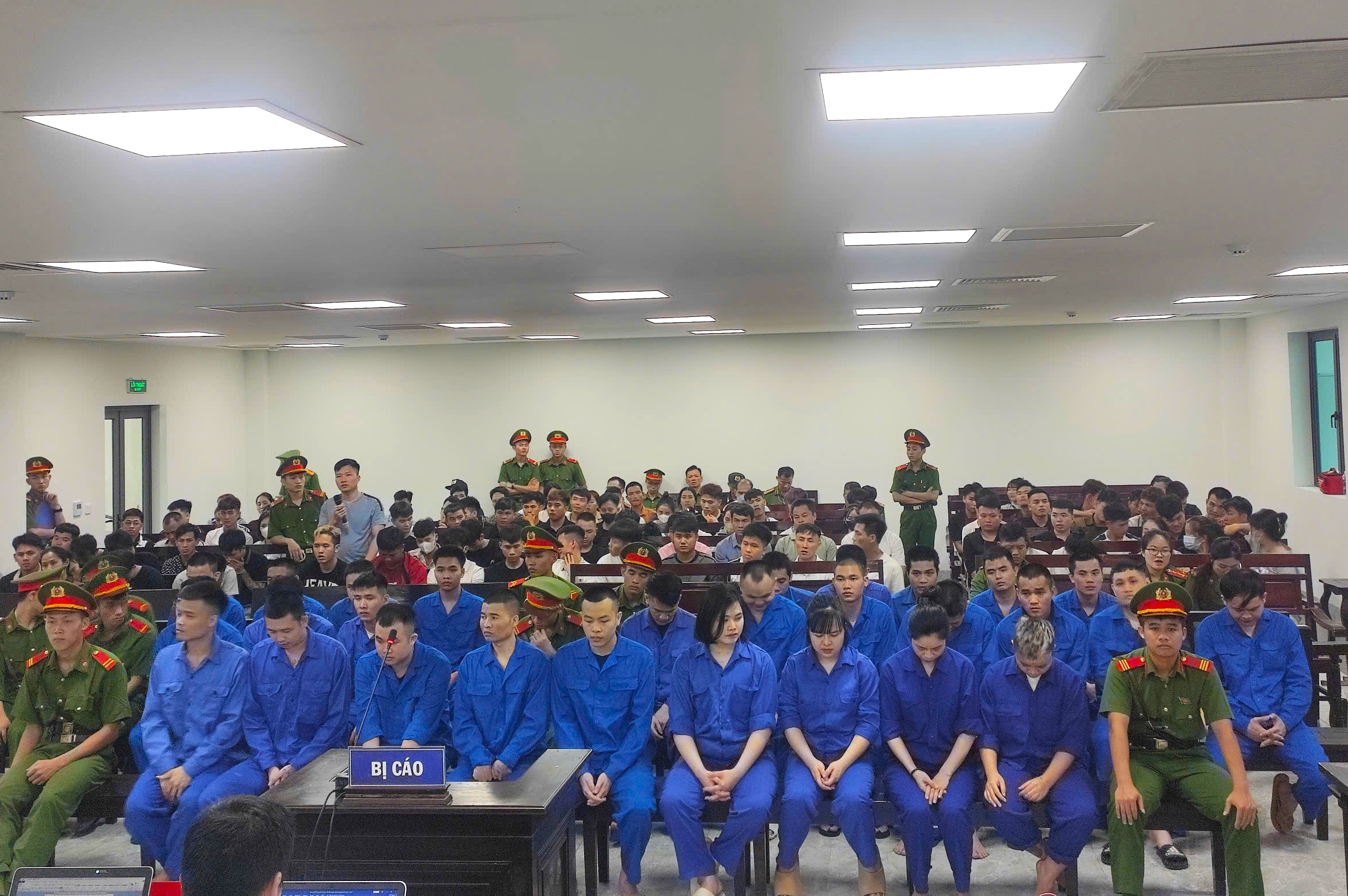審判117名被告在'用越南人騙越南人'團伙中