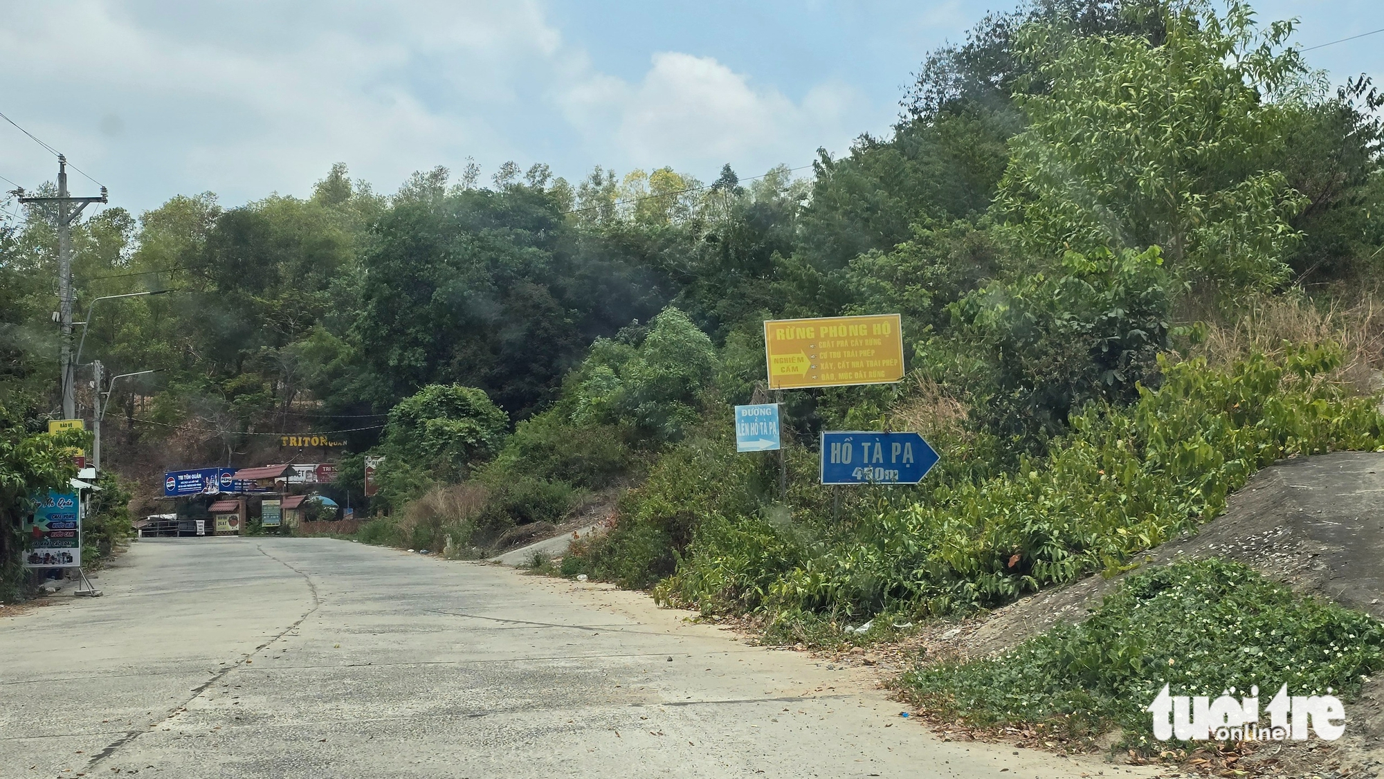 防護林被“切割”在山坡上建造房屋用於旅遊的問題