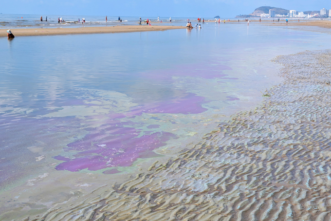 越南頭頓市後灘海域出現浮沫,散發臭味