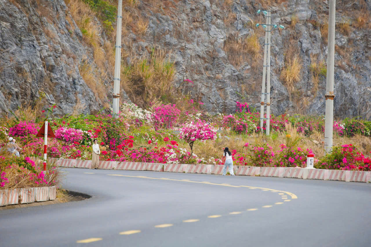 如詩如畫的吉婆島道路