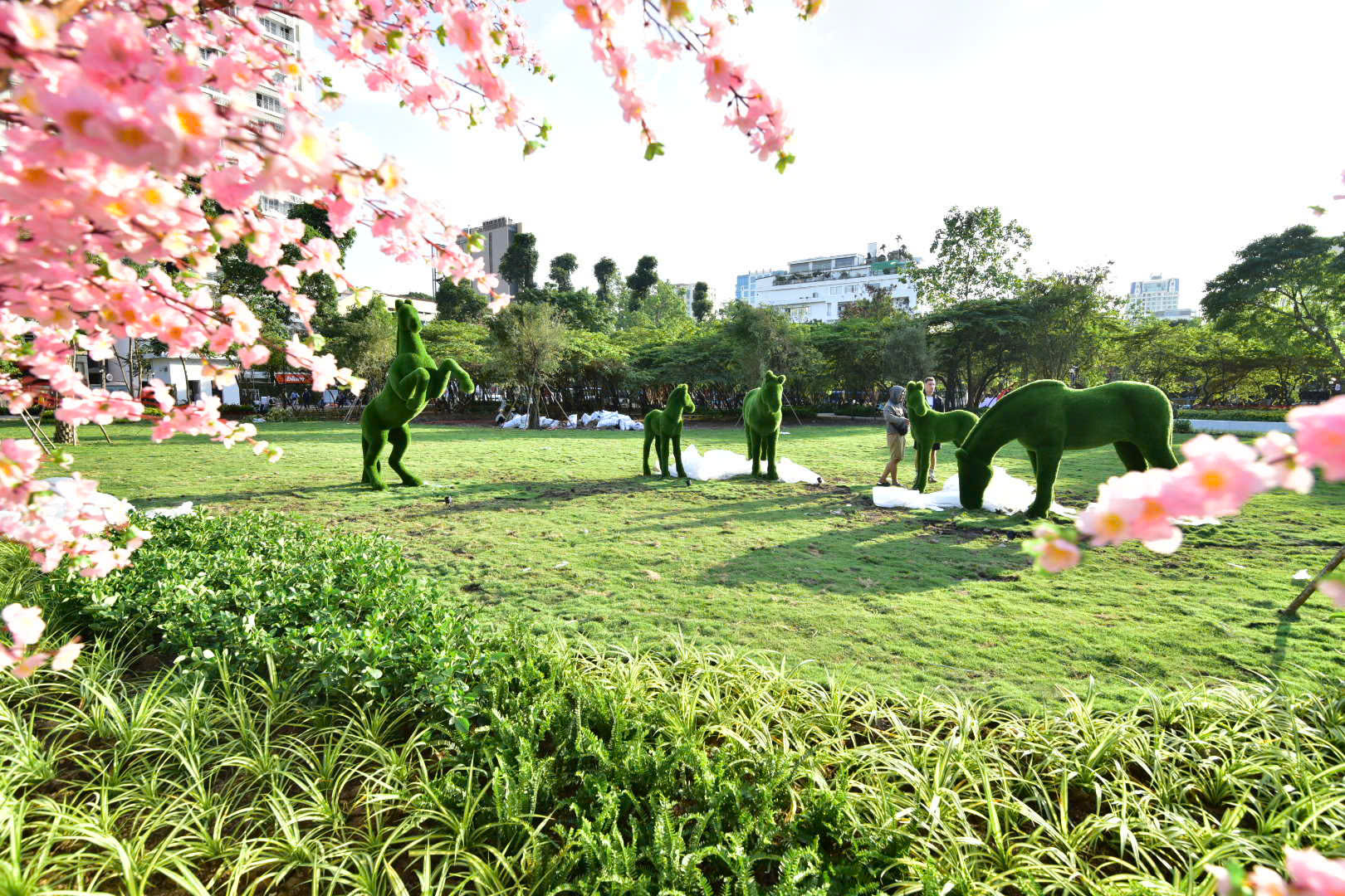 胡志明市建設廳建議穩定範廷頌公園