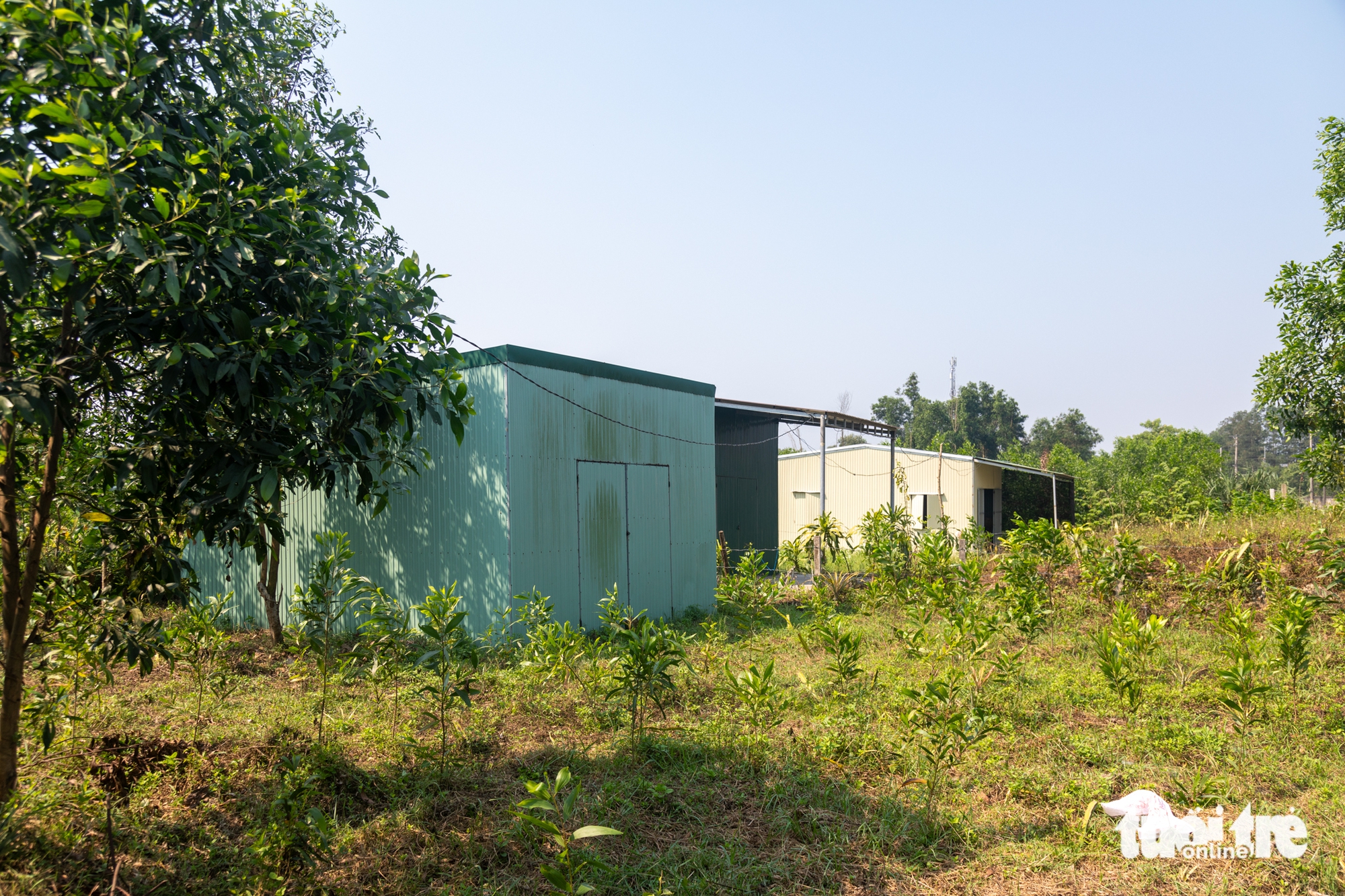 國道15D項目農業用地上大量非法房屋