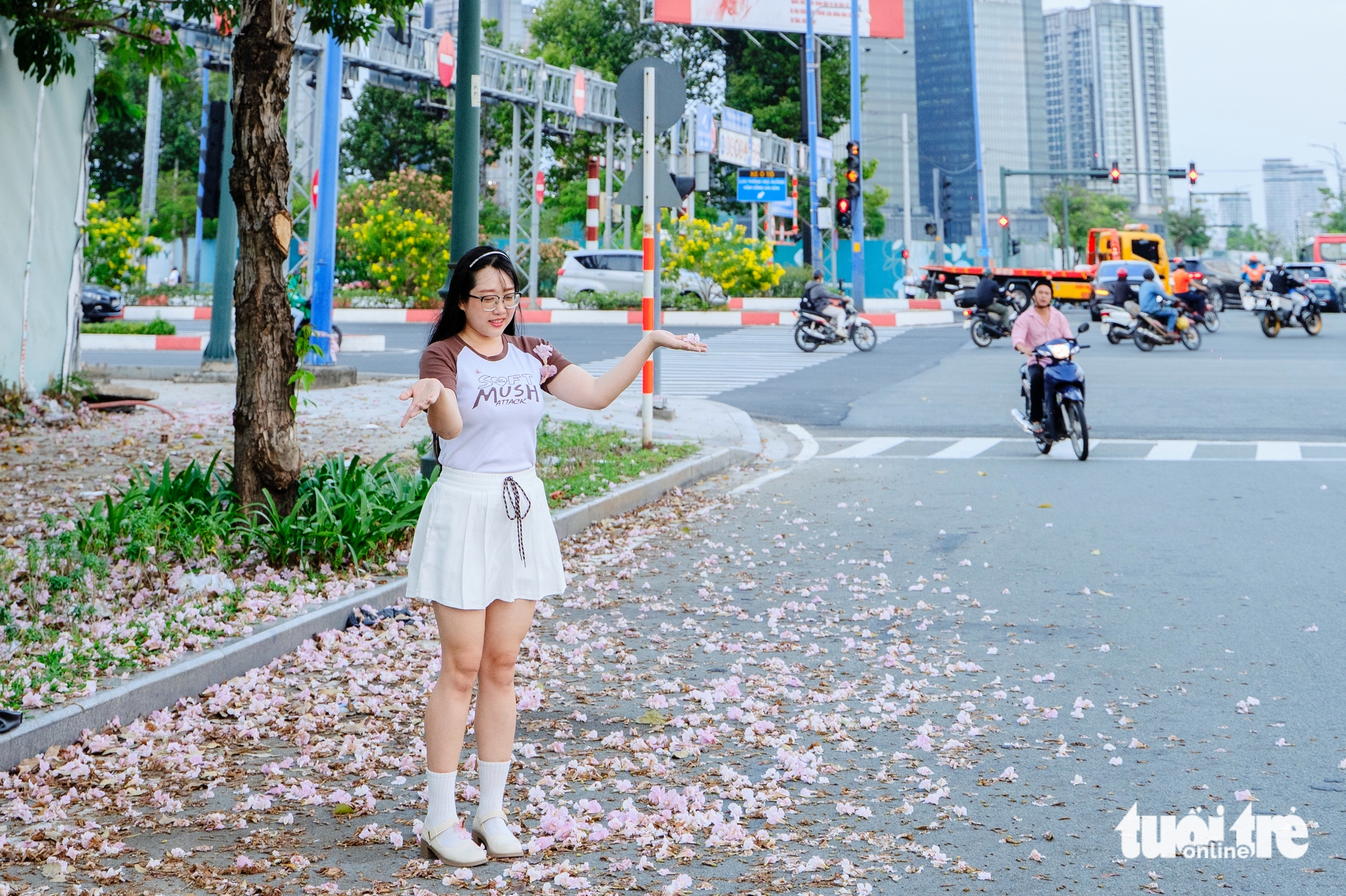 胡志明市多條街道上的粉紅喇叭花盛開