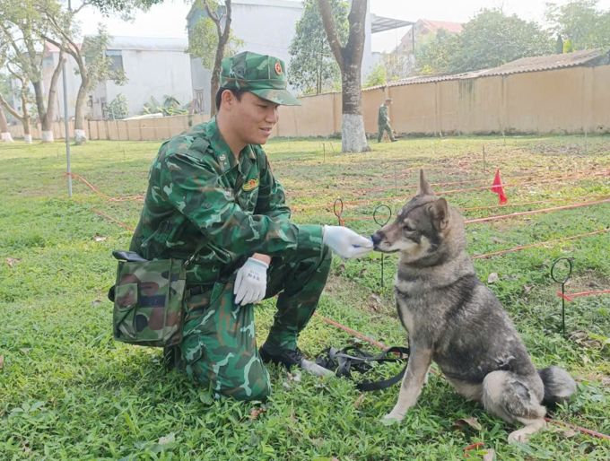 马江猎犬一年训练成为“战士”