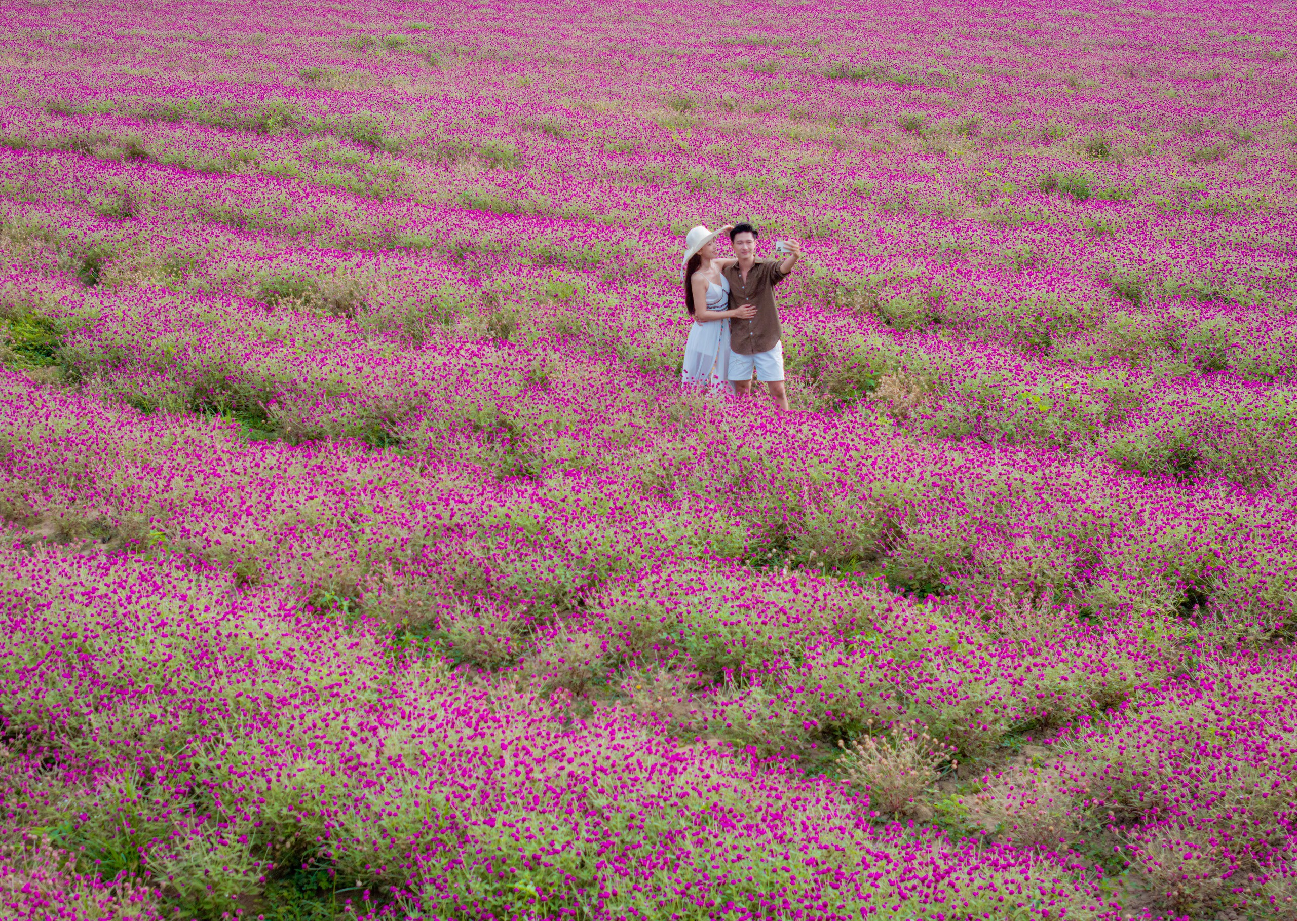 芽莊旅遊在假期期間因一系列活動和優惠而“火爆”