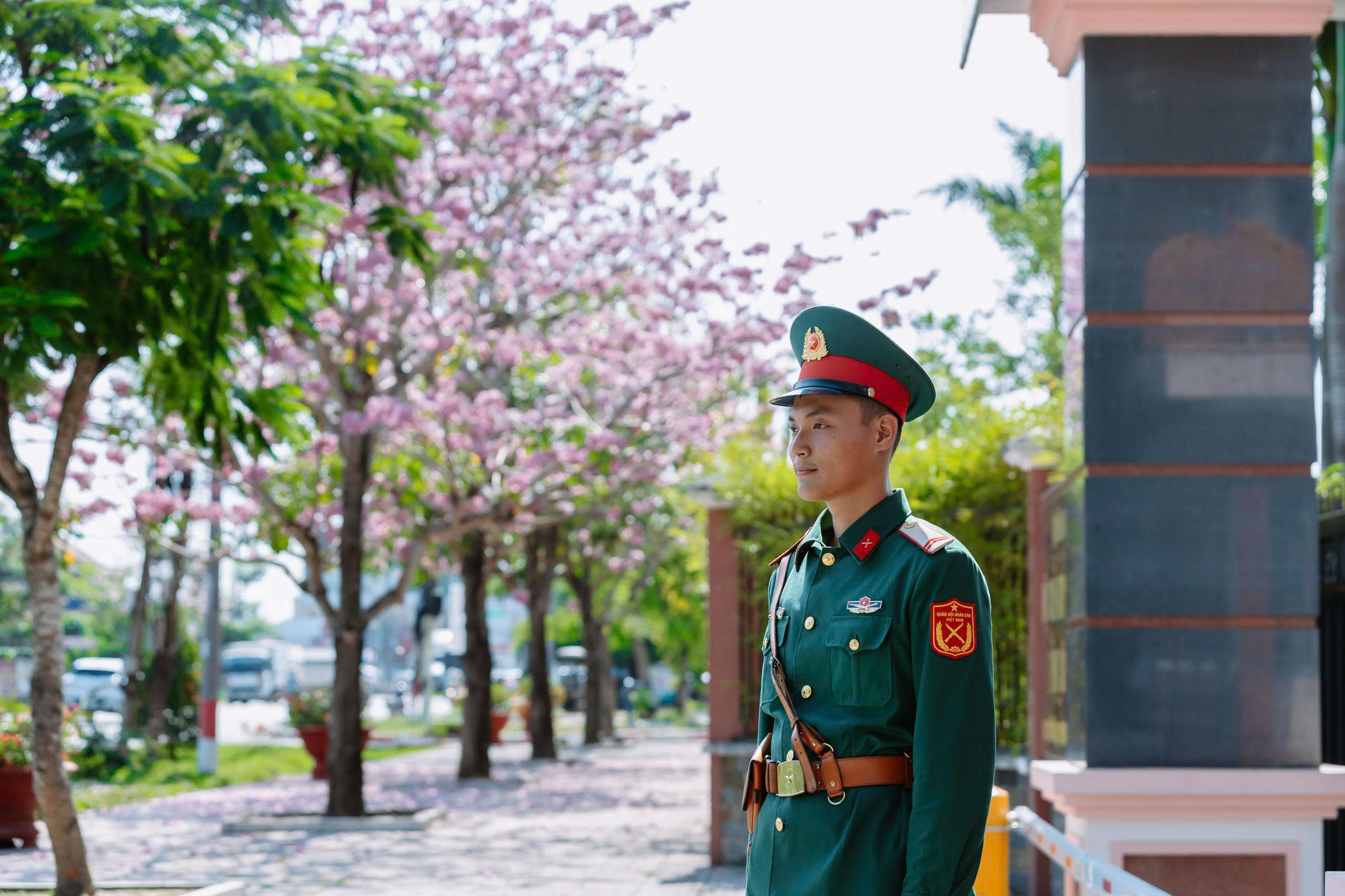 粉色喇叭花為軍營增添亮麗色彩