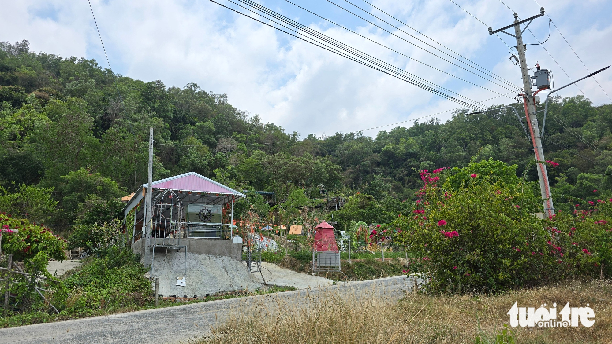 防護林被“切割”在山坡上建造房屋用於旅遊的問題