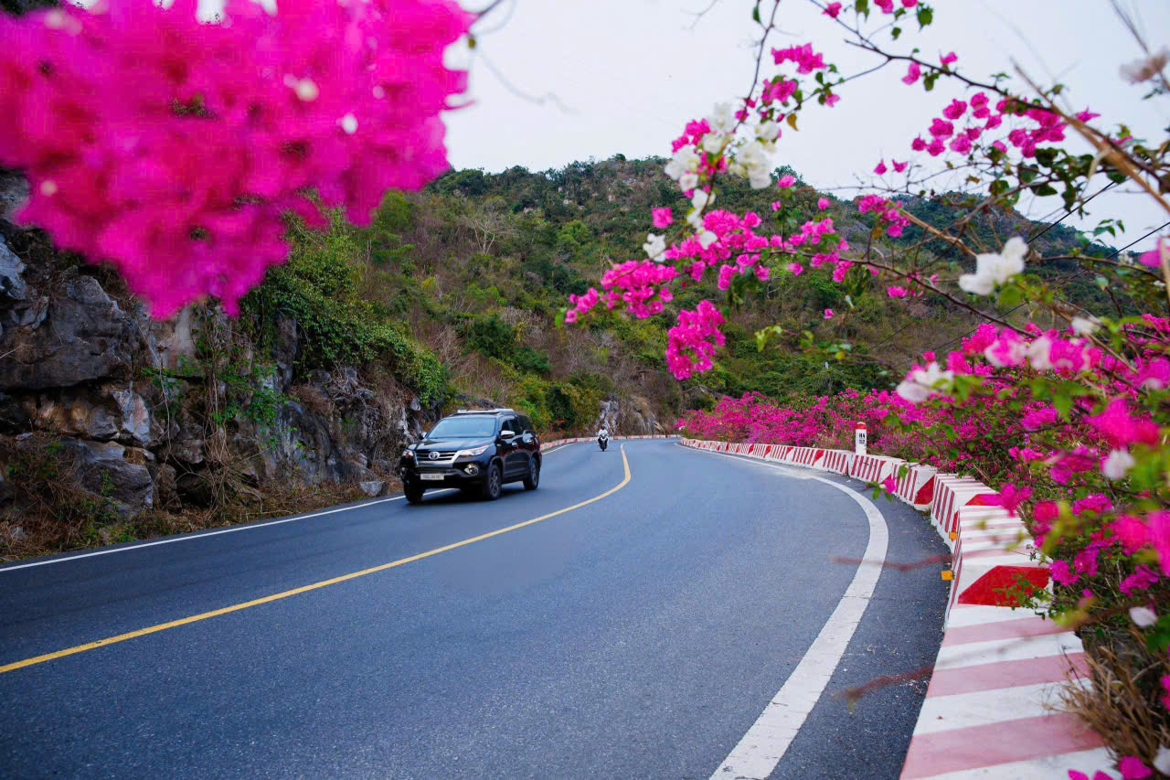 如詩如畫的吉婆島道路