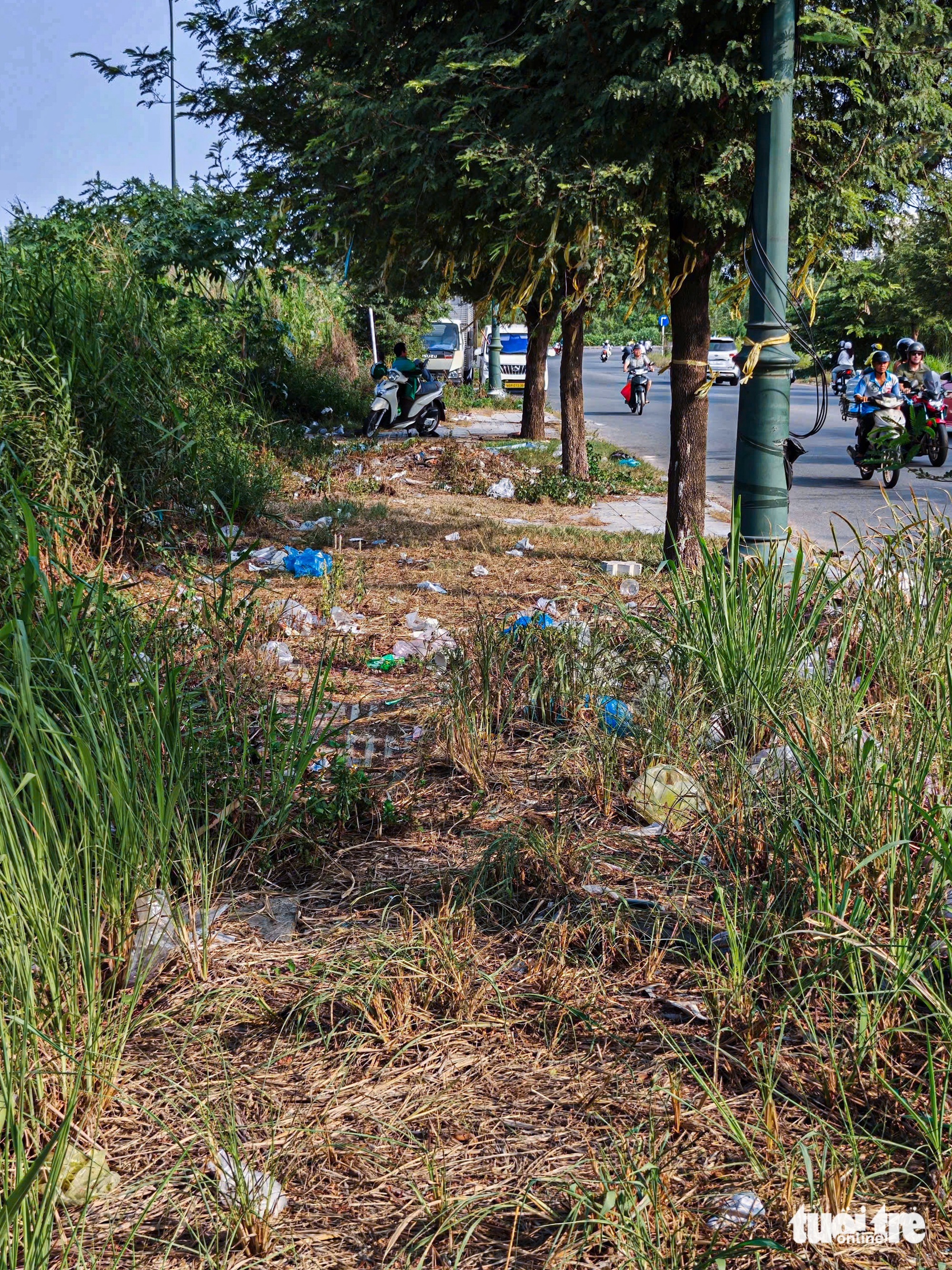 胡志明市:安慶坊多處垃圾氾濫