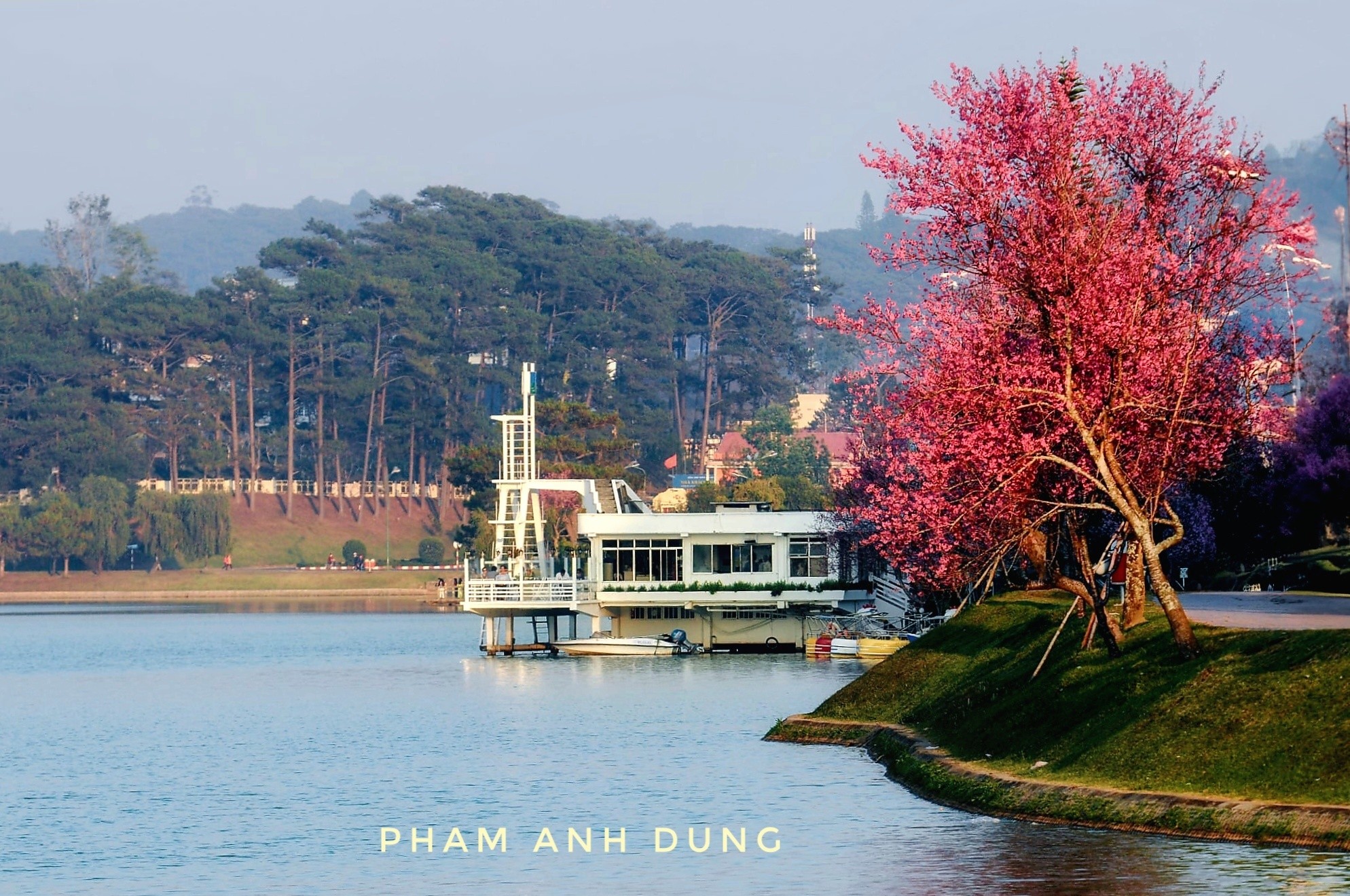 Dalattourist:2026年林同省旅遊的'核心'吸引點