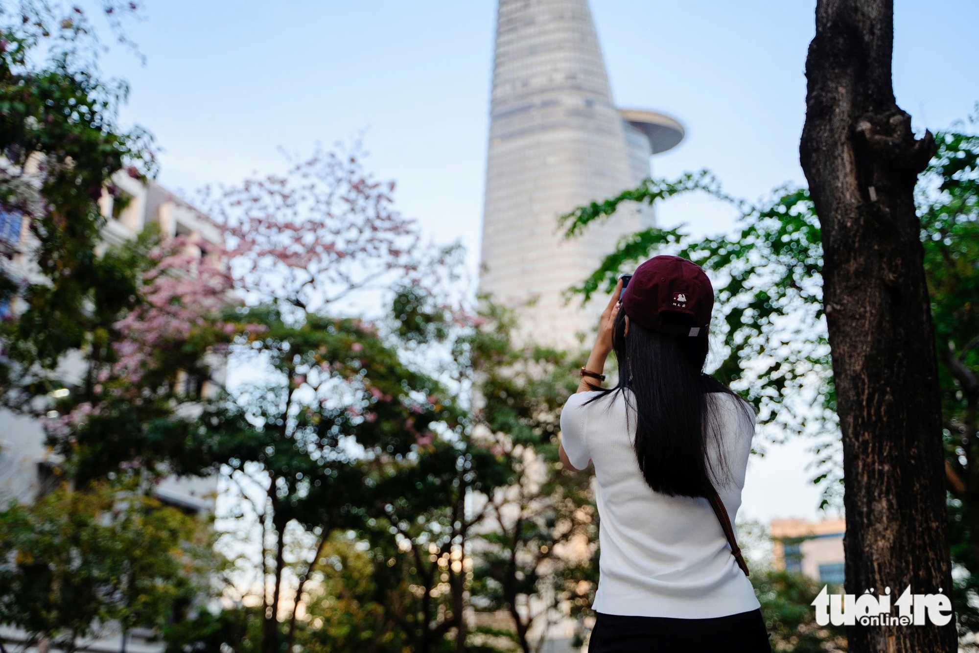 胡志明市多條街道上的粉紅喇叭花盛開