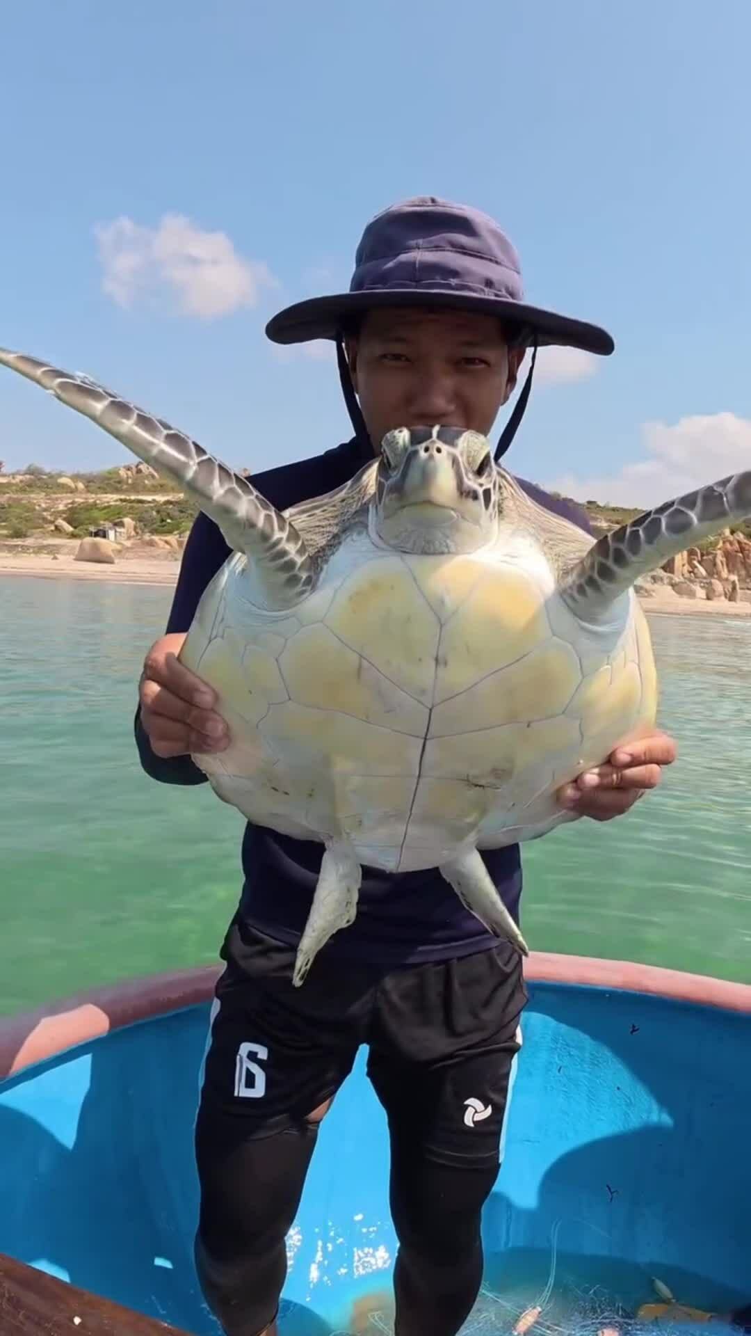 珍貴海龜被漁網纏住,漁民將其放歸大海