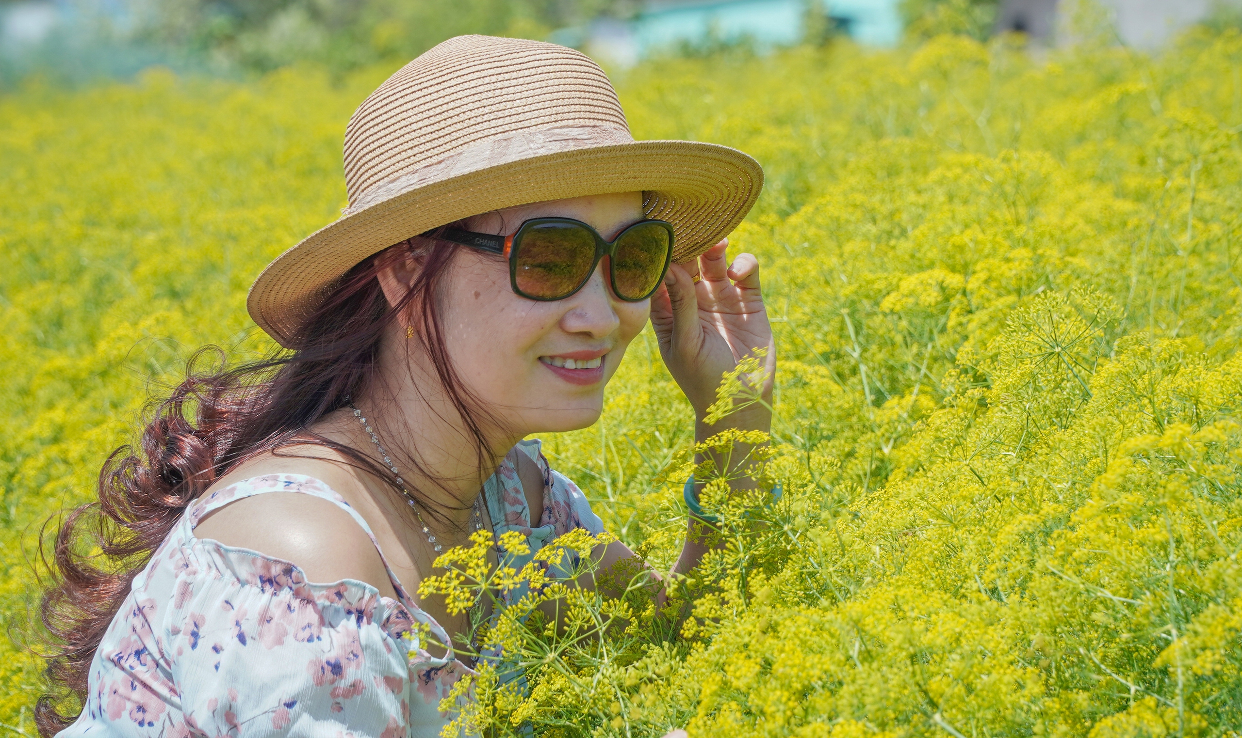 許多年輕人相約前往西部“稀有花園”打卡