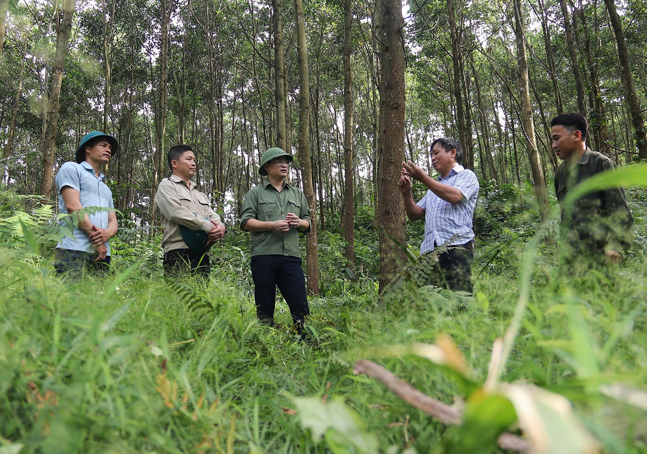 因天氣炎熱,禁止在森林內及周邊進行產生火源、熱源的活動