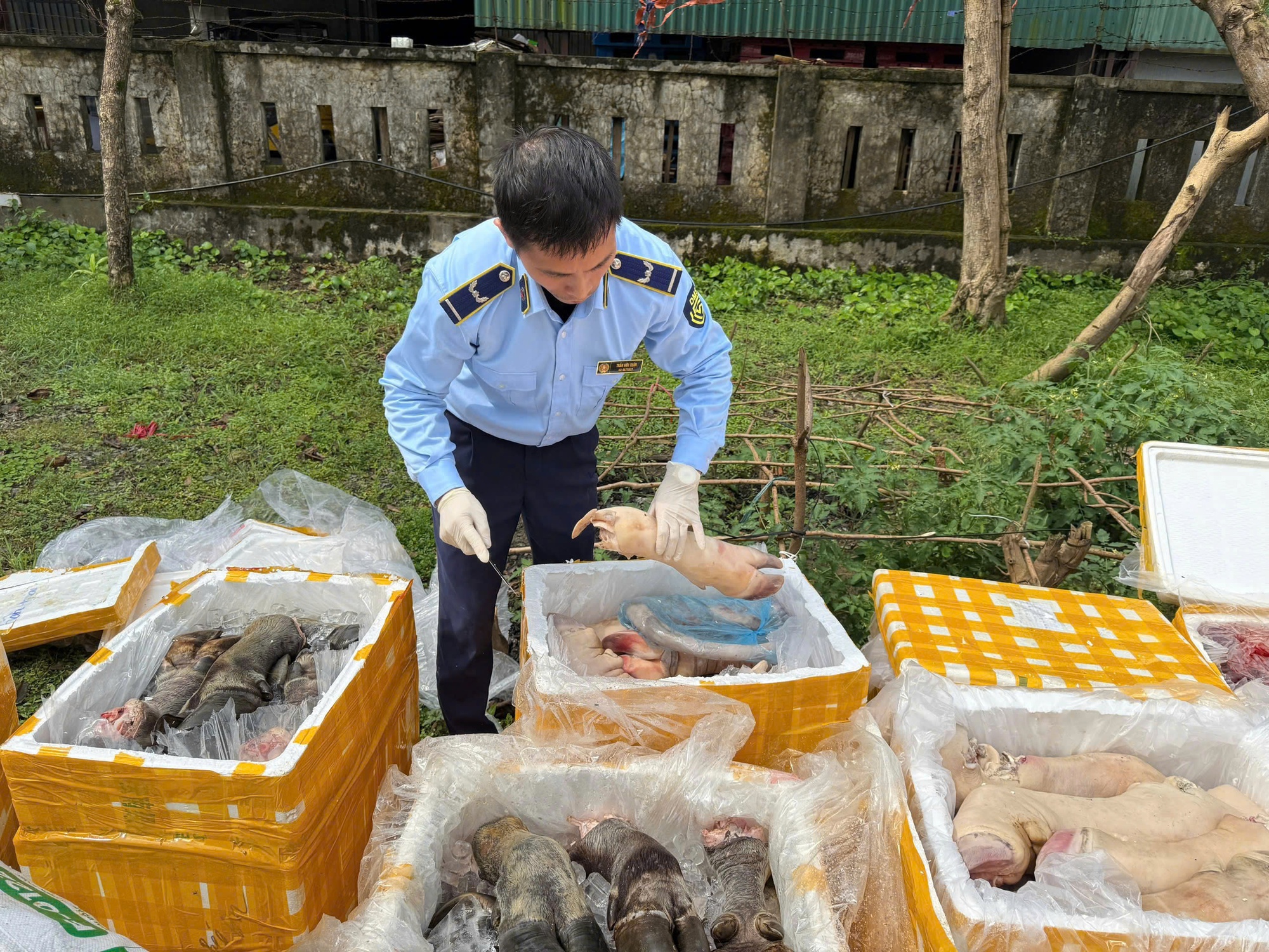 發現並銷燬超過2.6噸來源不明的動物內臟