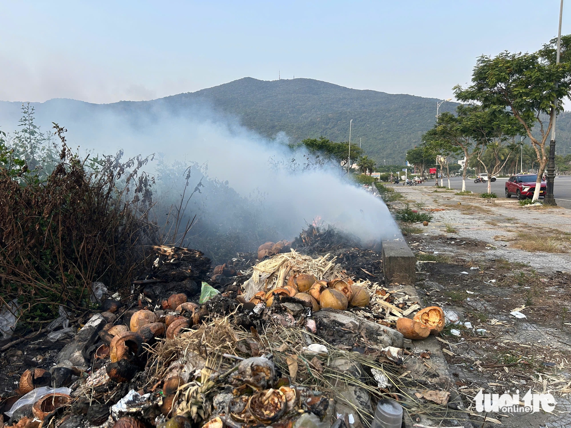 山茶區海岸垃圾遍地