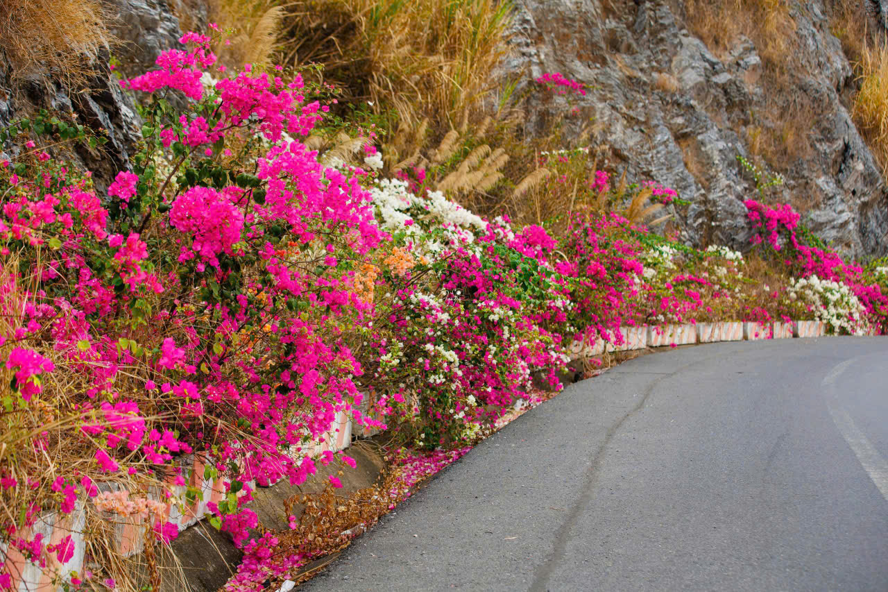 如詩如畫的吉婆島道路