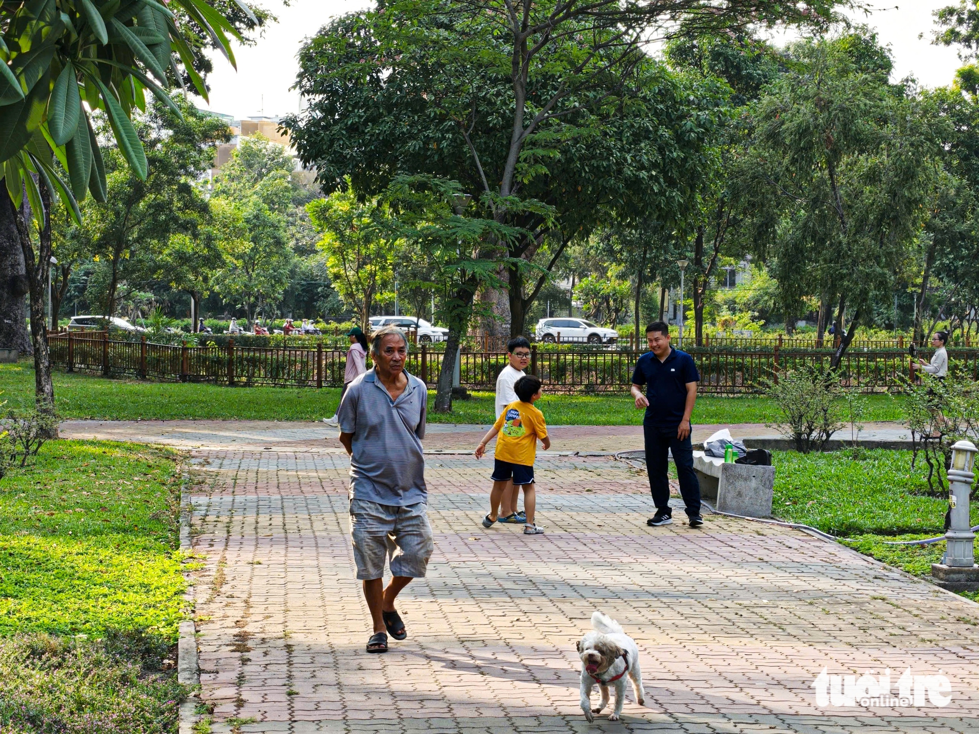 嘉定公園內到處可見未拴繩、未戴嘴套的狗亂跑