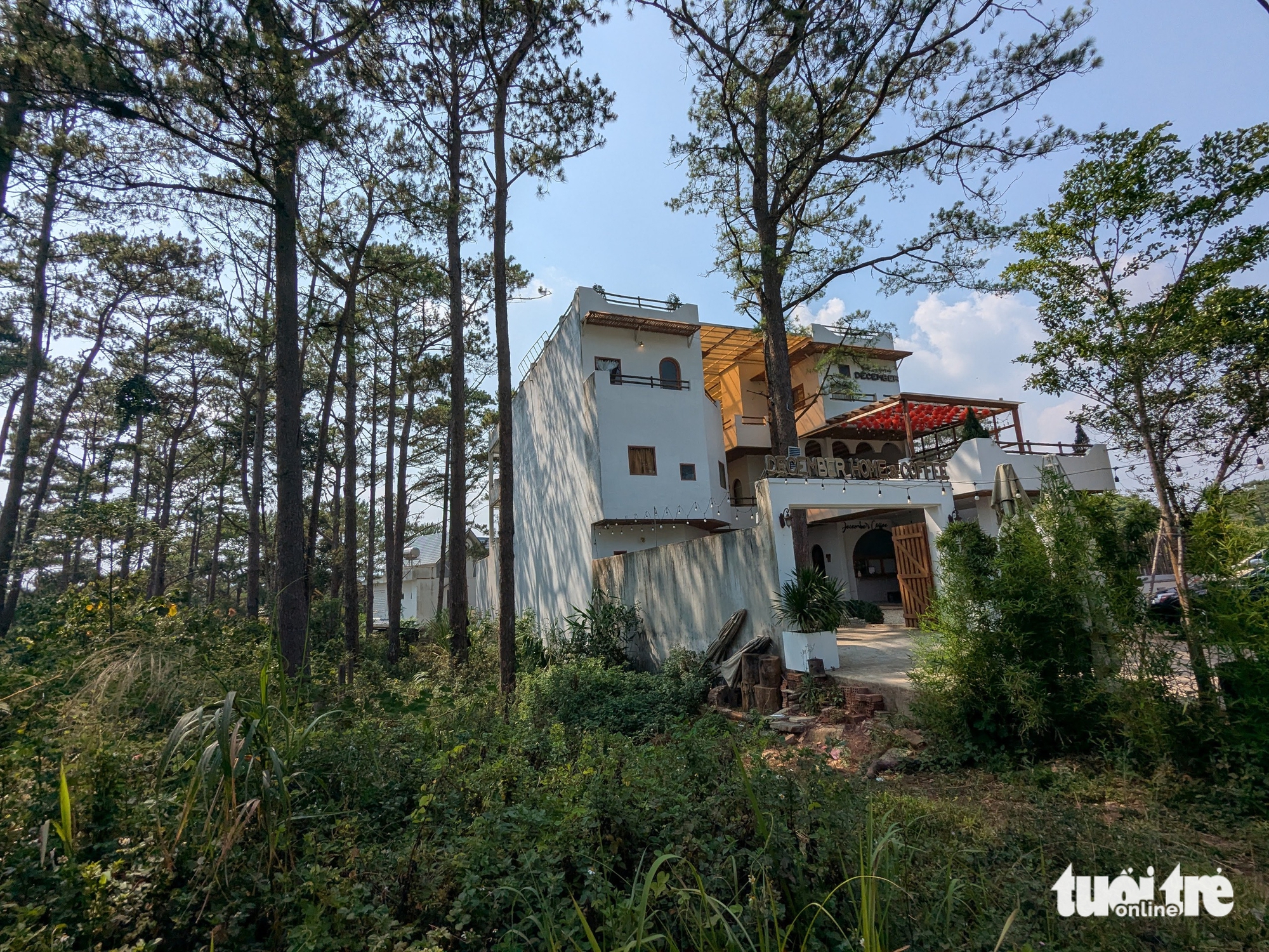 芒登地區一塊'黃金土地'拍賣地塊寬7米,但實際測量不足...6米
