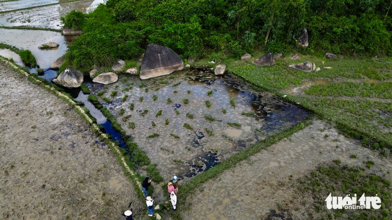 志盛-雲峰高速公路旁農田因廢機油和缺水而‘死亡’