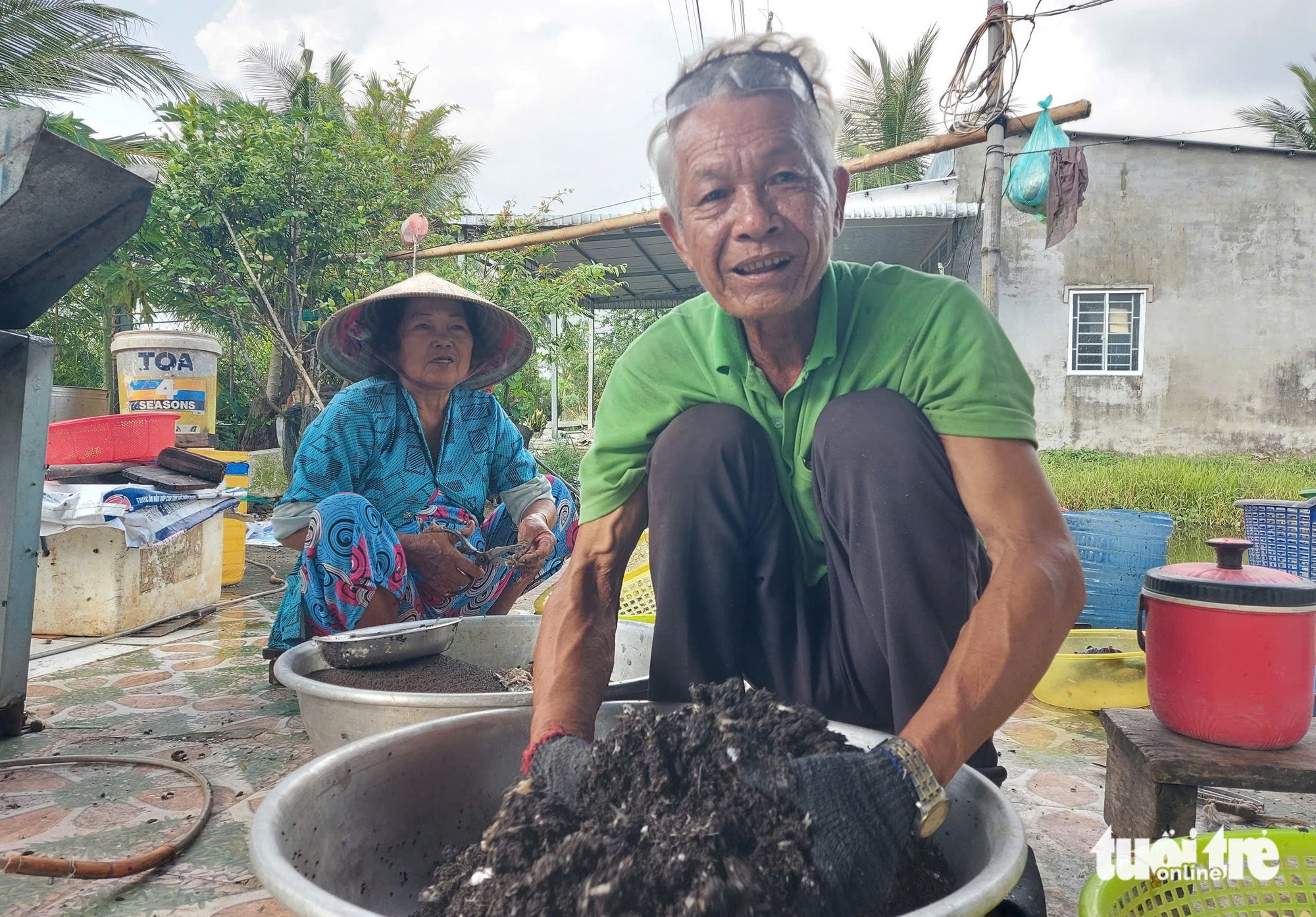 反季節降雨出現,民眾緊急保護藍蝦免受溫度衝擊