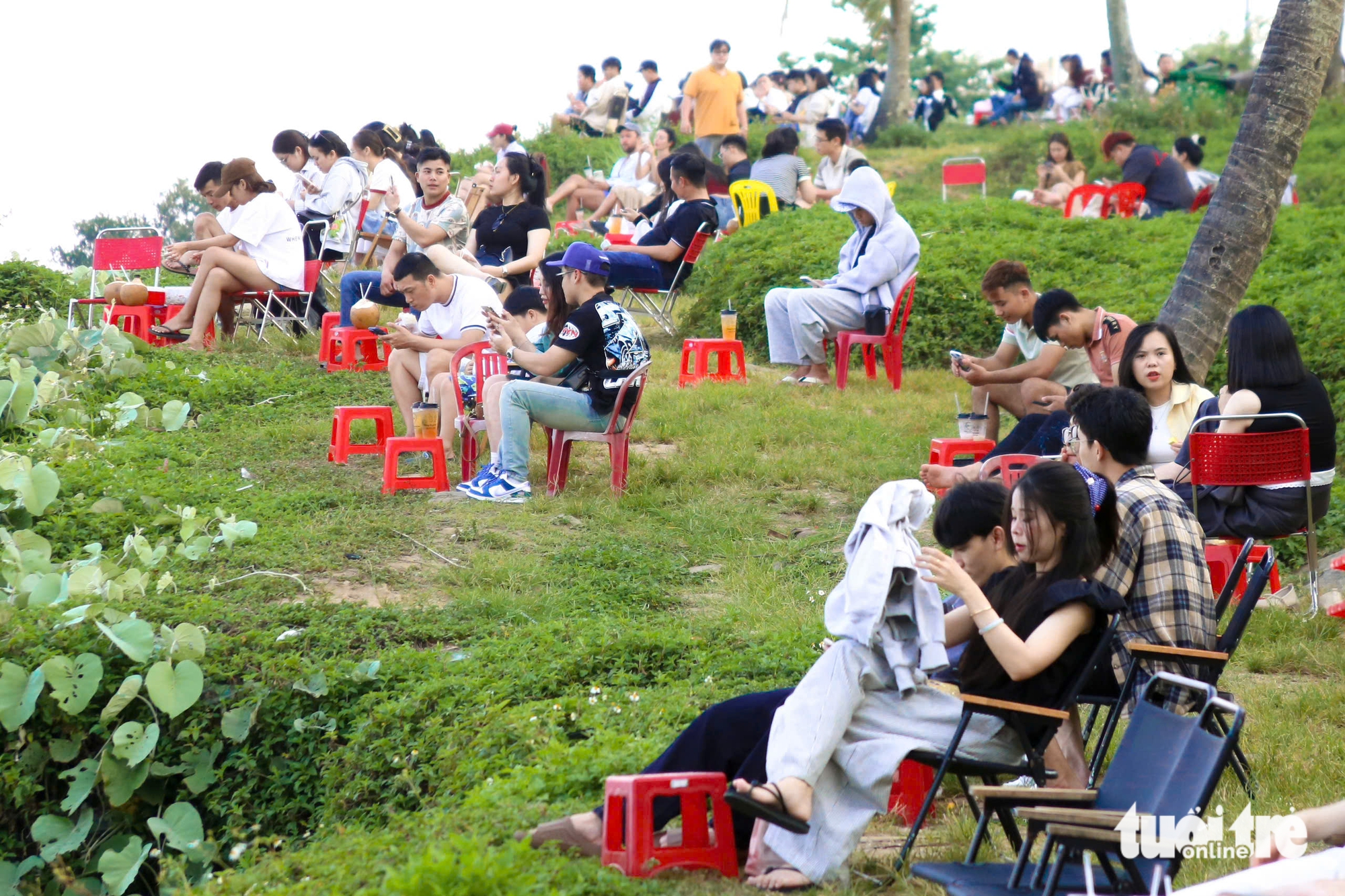 山茶半島 - 夏季前往峴港的理想避暑勝地