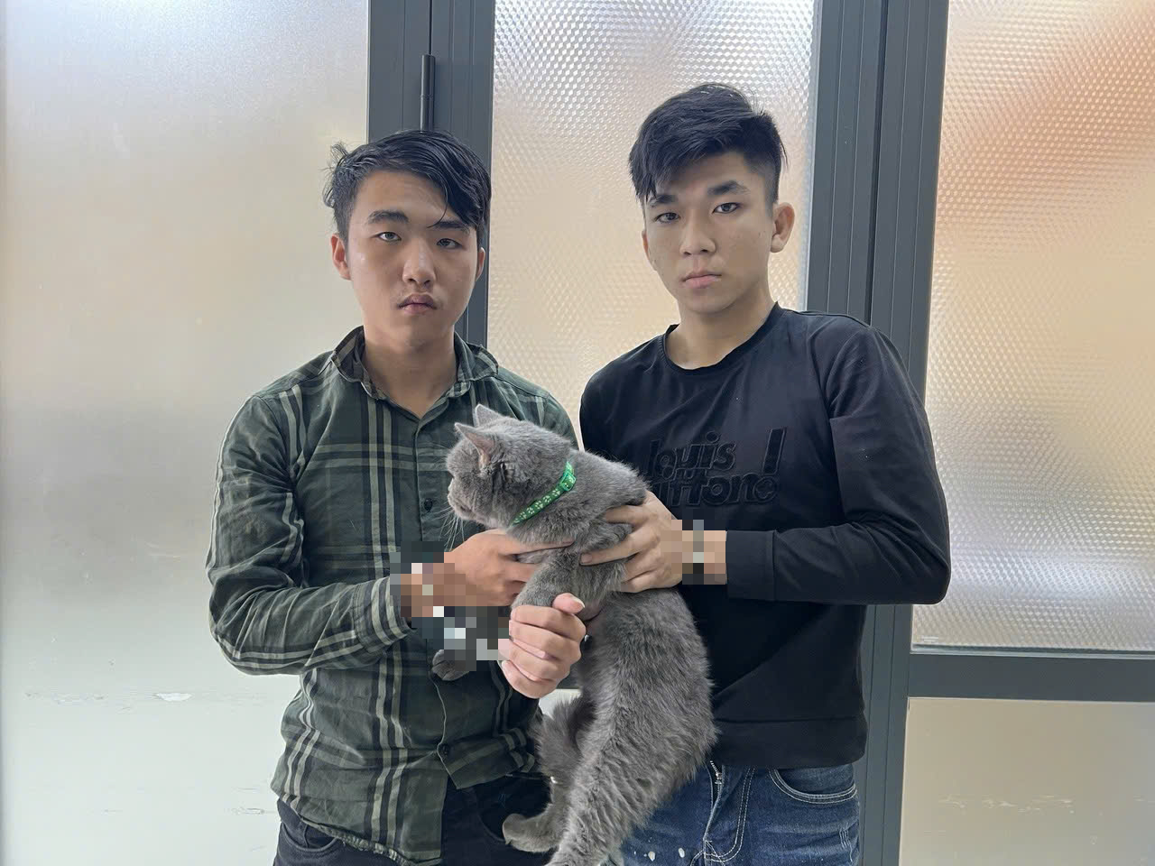 胡志明市刑警逮捕三名盜竊班多格犬和灰貓的嫌疑人