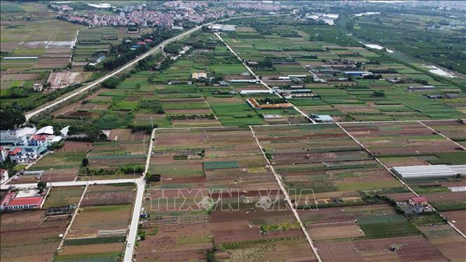 河内：将在美德县拍卖50块土地