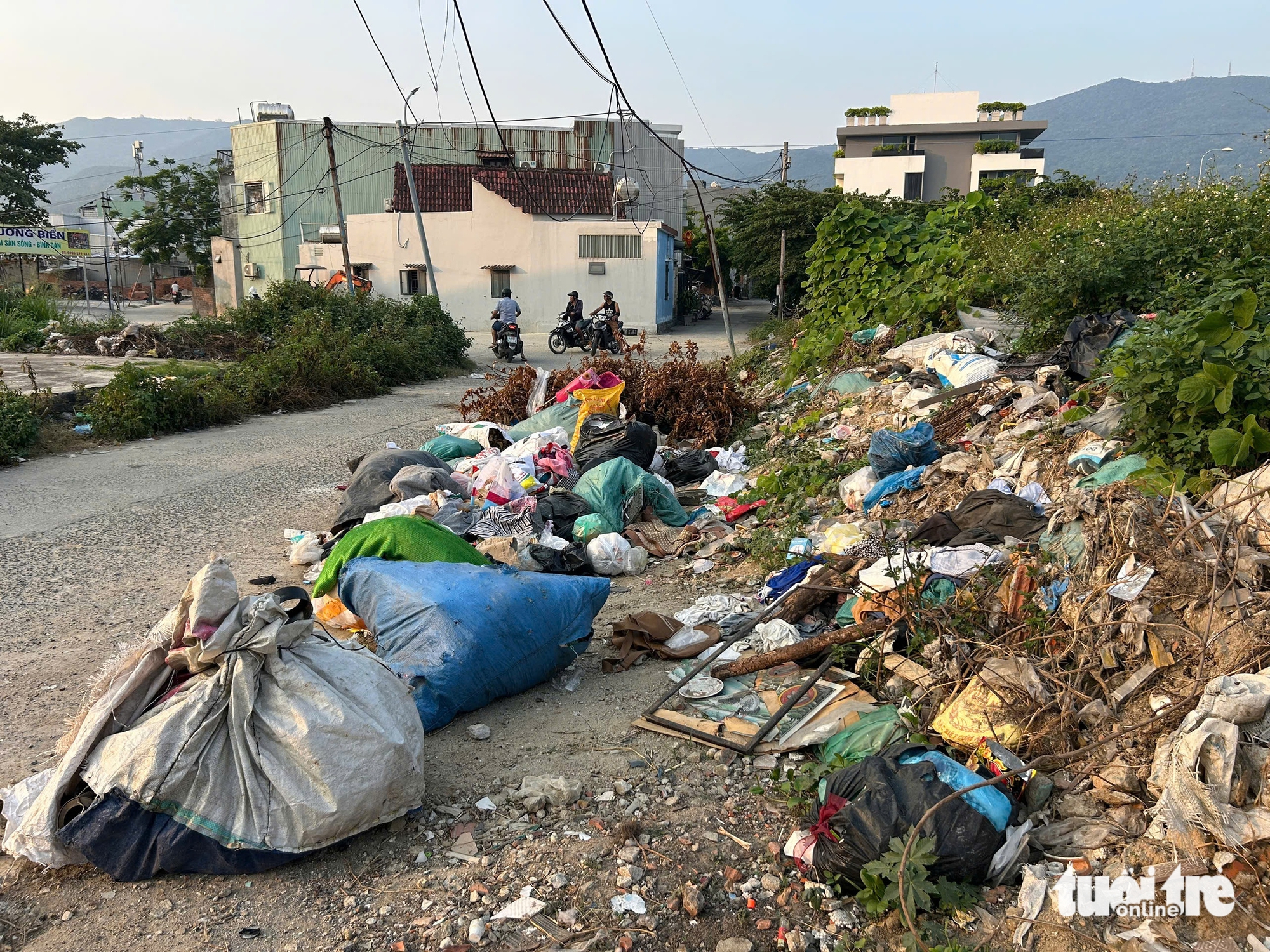 山茶區海岸垃圾遍地