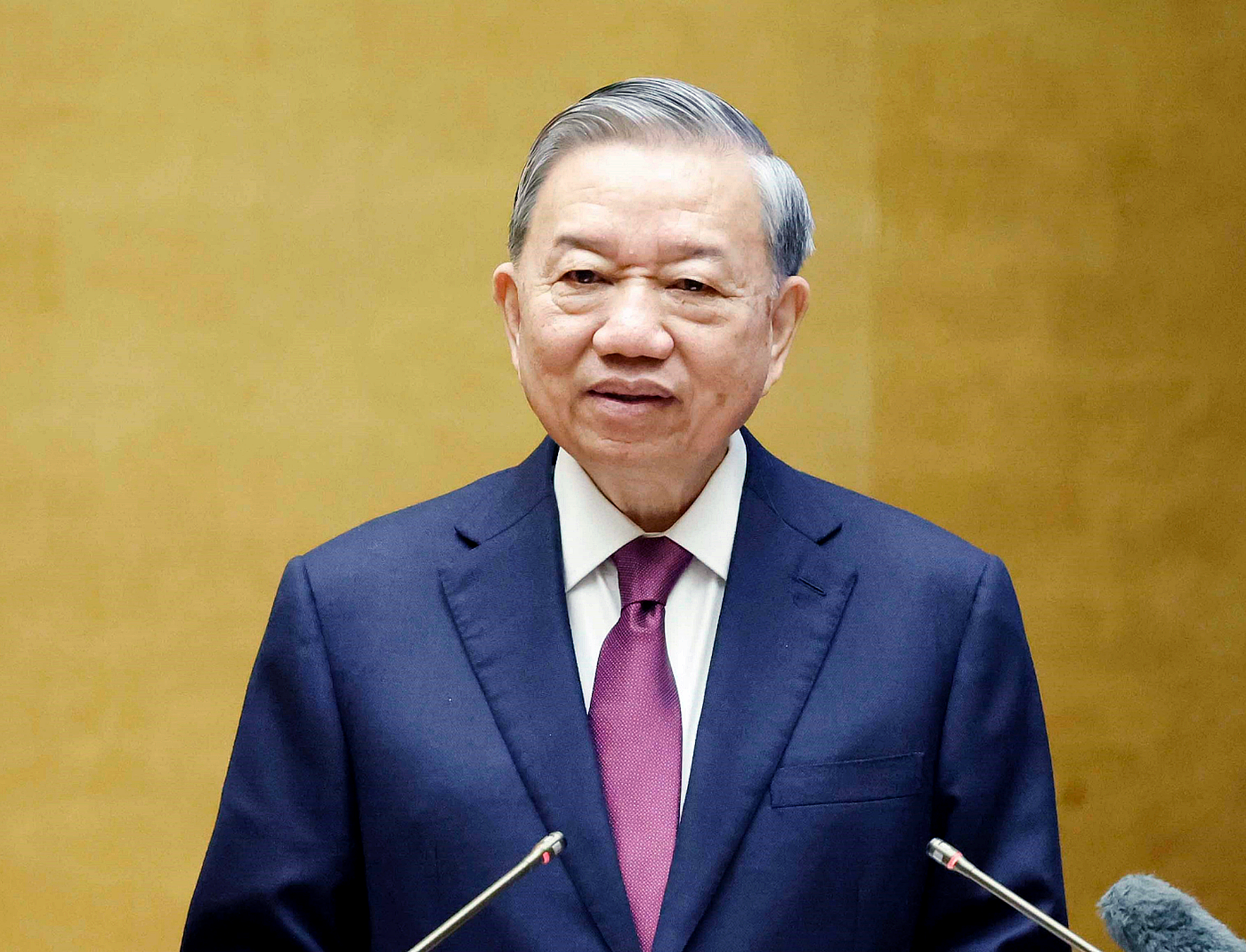 總書記、國家主席蘇林:停止跟風、任期、表面形式的投資