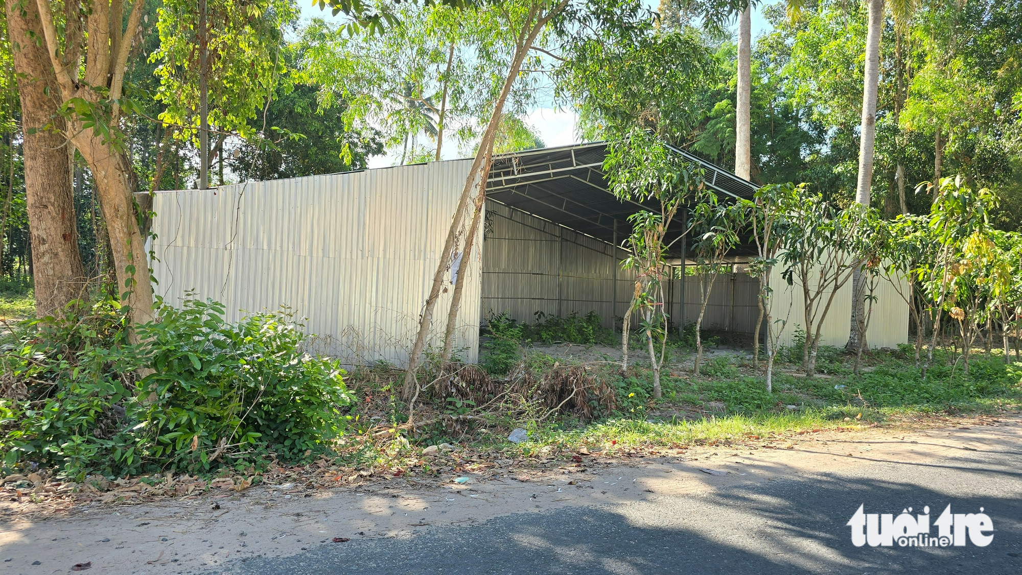 非法建設和種植樹木以迎接高速公路連接項目的情況引發警報