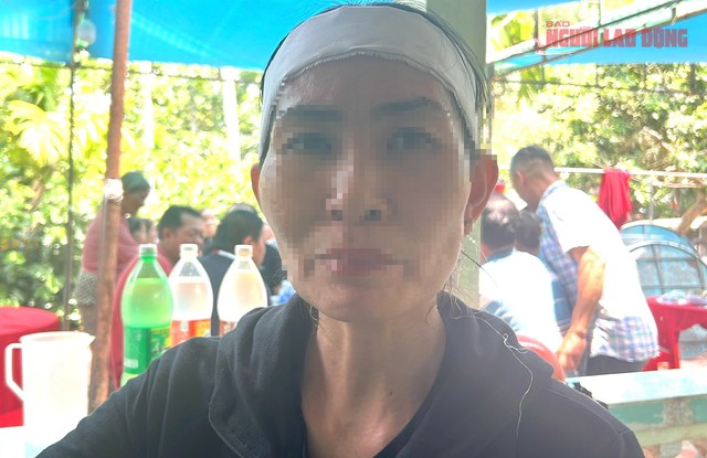 永隆省女孩交通事故案：生母请求推迟与公安的工作会议