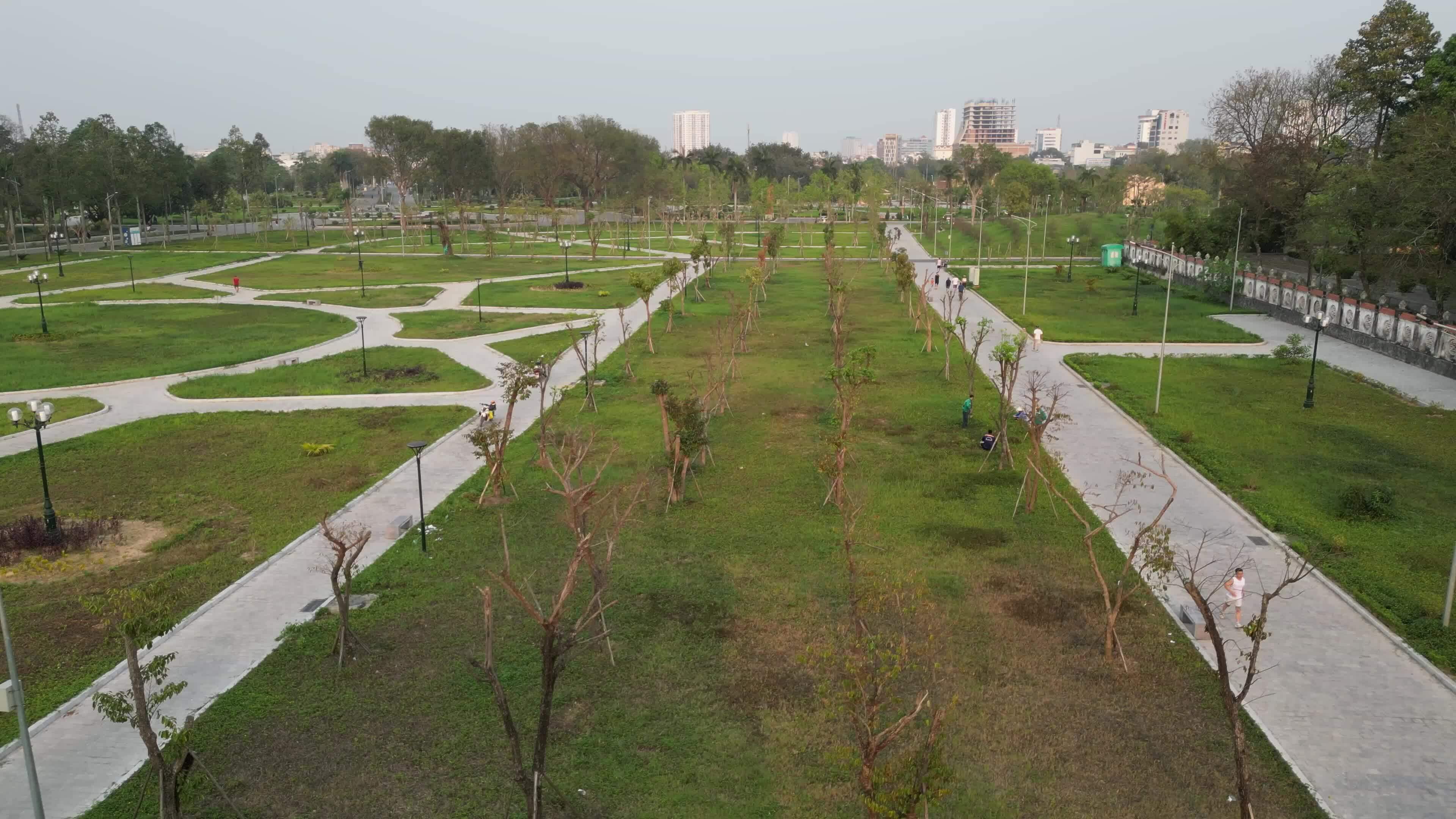 清化省最大公園樹木大量死亡