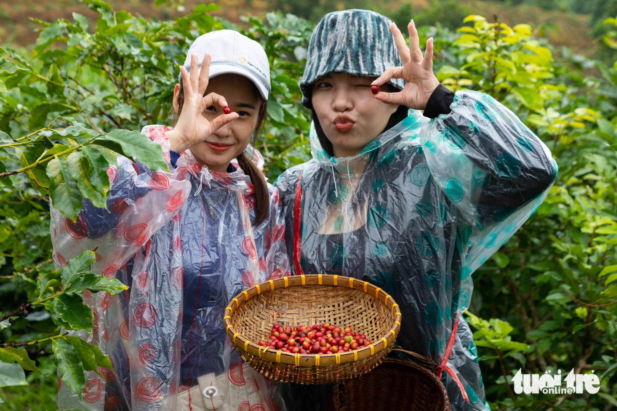 纪念溪山咖啡100周年的多项特色活动