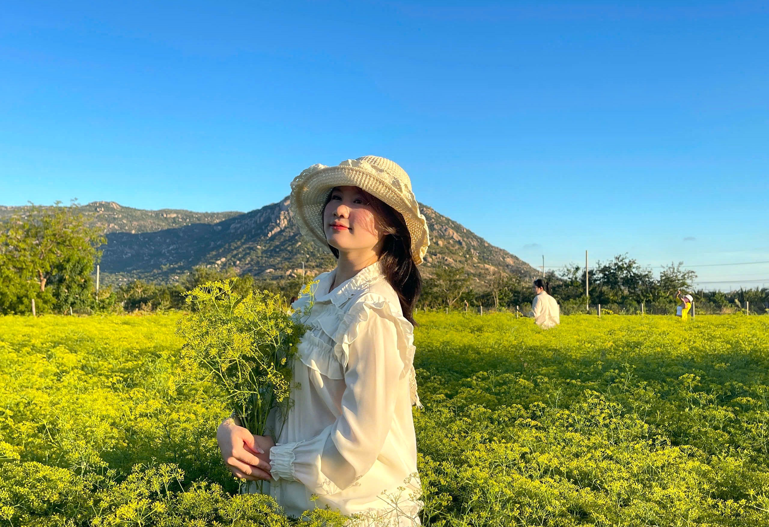 茴香花園'走紅',吸引數百年輕人打卡拍照