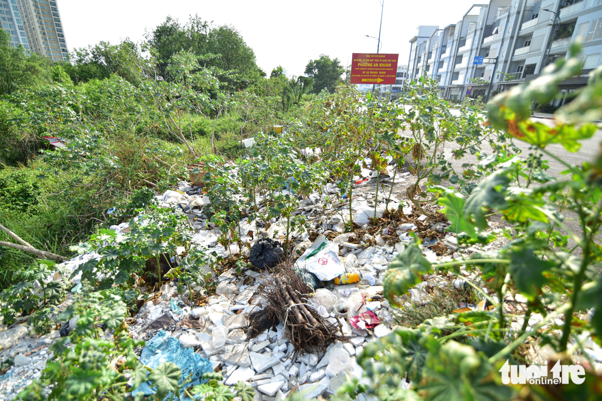 胡志明市:安慶坊多處垃圾氾濫