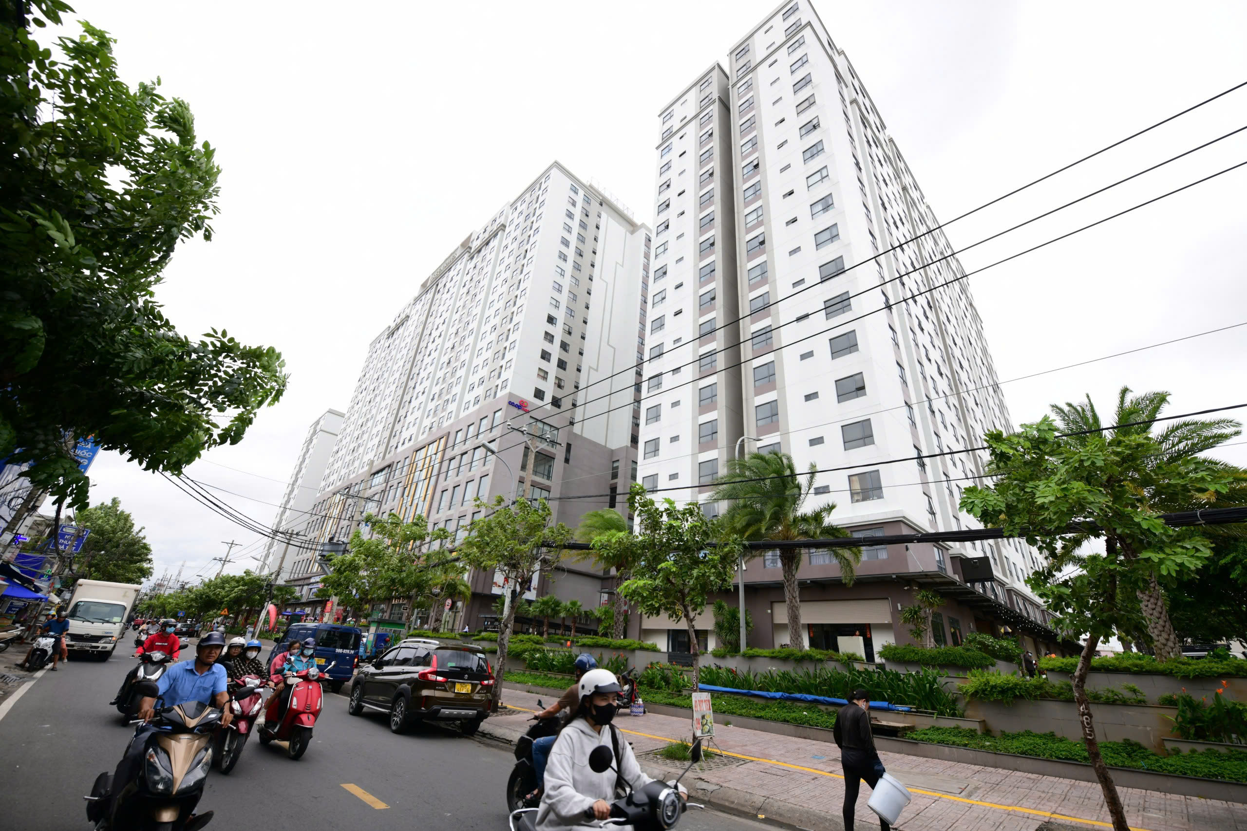 投資者自行確定社會住房銷售價格:如何避免房價被推高?