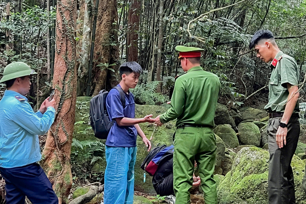 迷失在西安子森林,兩名遊客數小時後獲救
