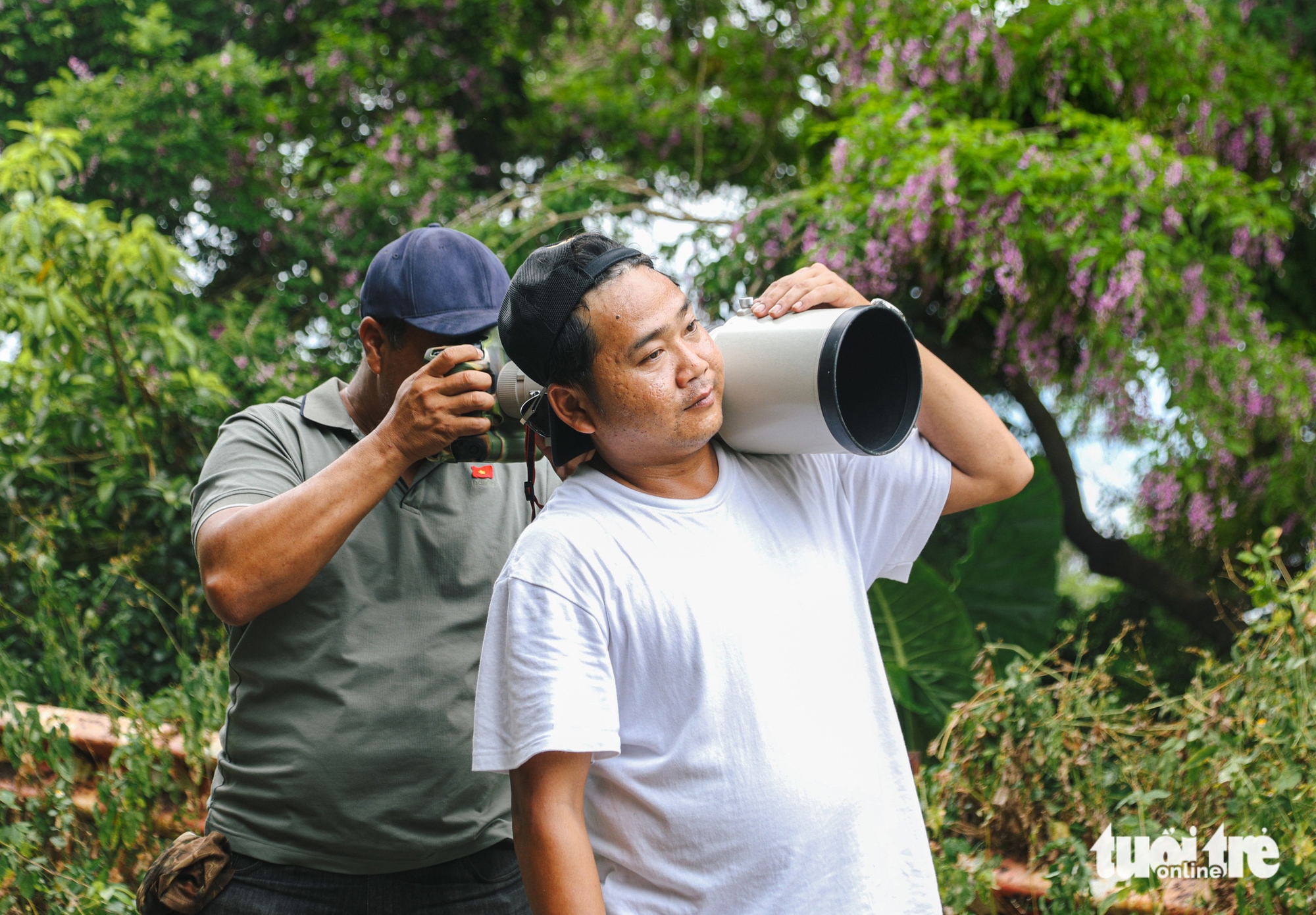 花費數億越南盾換取拍攝山茶半島珍稀葉猴的瞬間