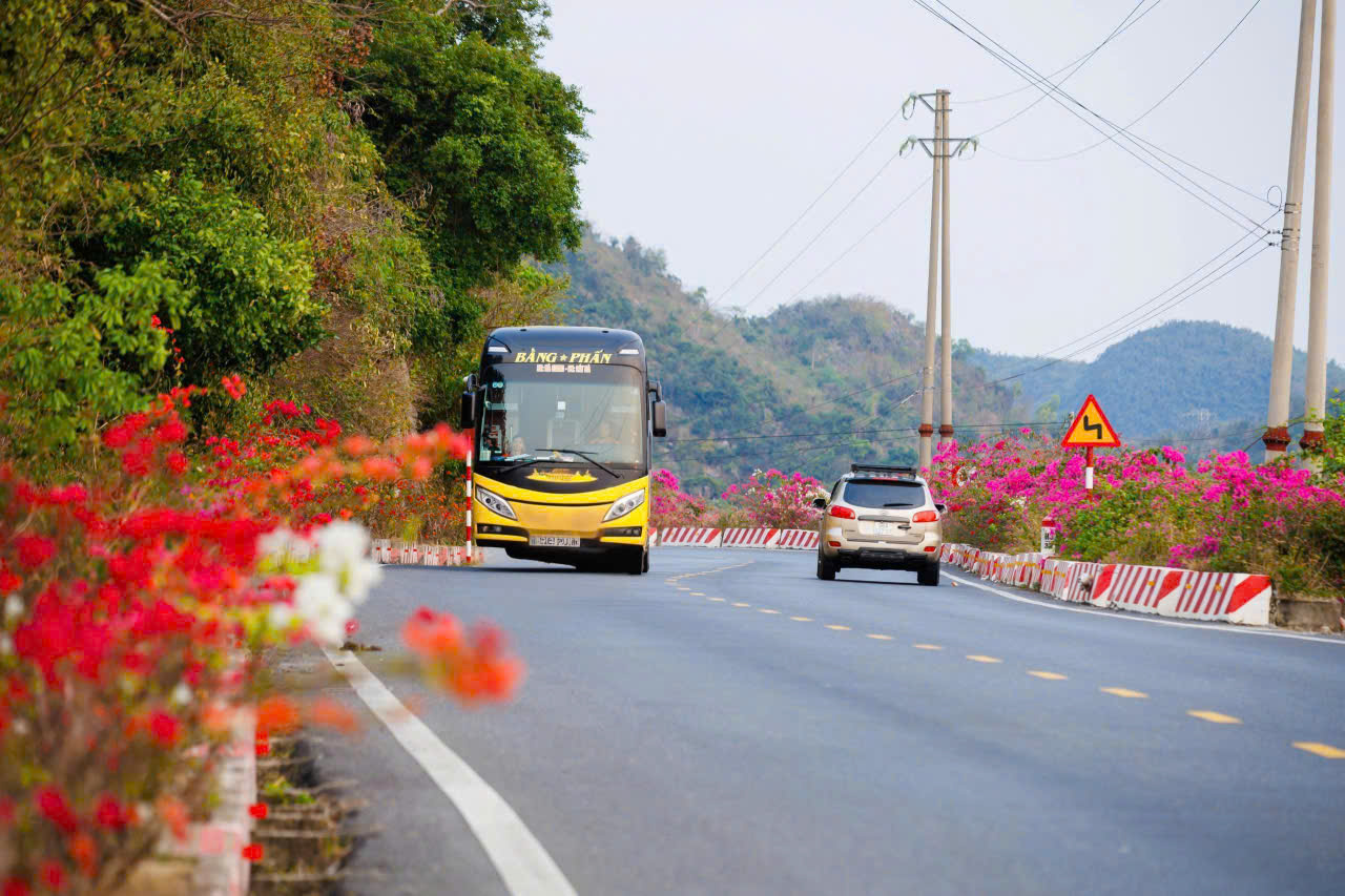 如詩如畫的吉婆島道路