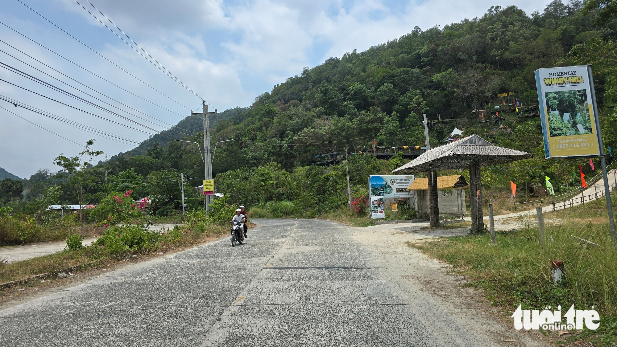 防護林被“切割”在山坡上建造房屋用於旅遊的問題