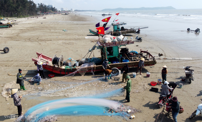 漁民在鯡魚季每天收入數百萬越南盾